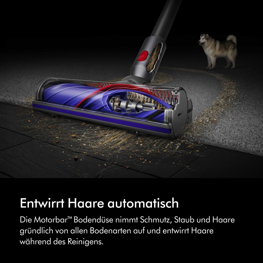 DYSON Akku-Hand-und Stielstaubsauger »V8™ Advanced« Haarentwirrungstechnologie, kein Saugkraftverlust