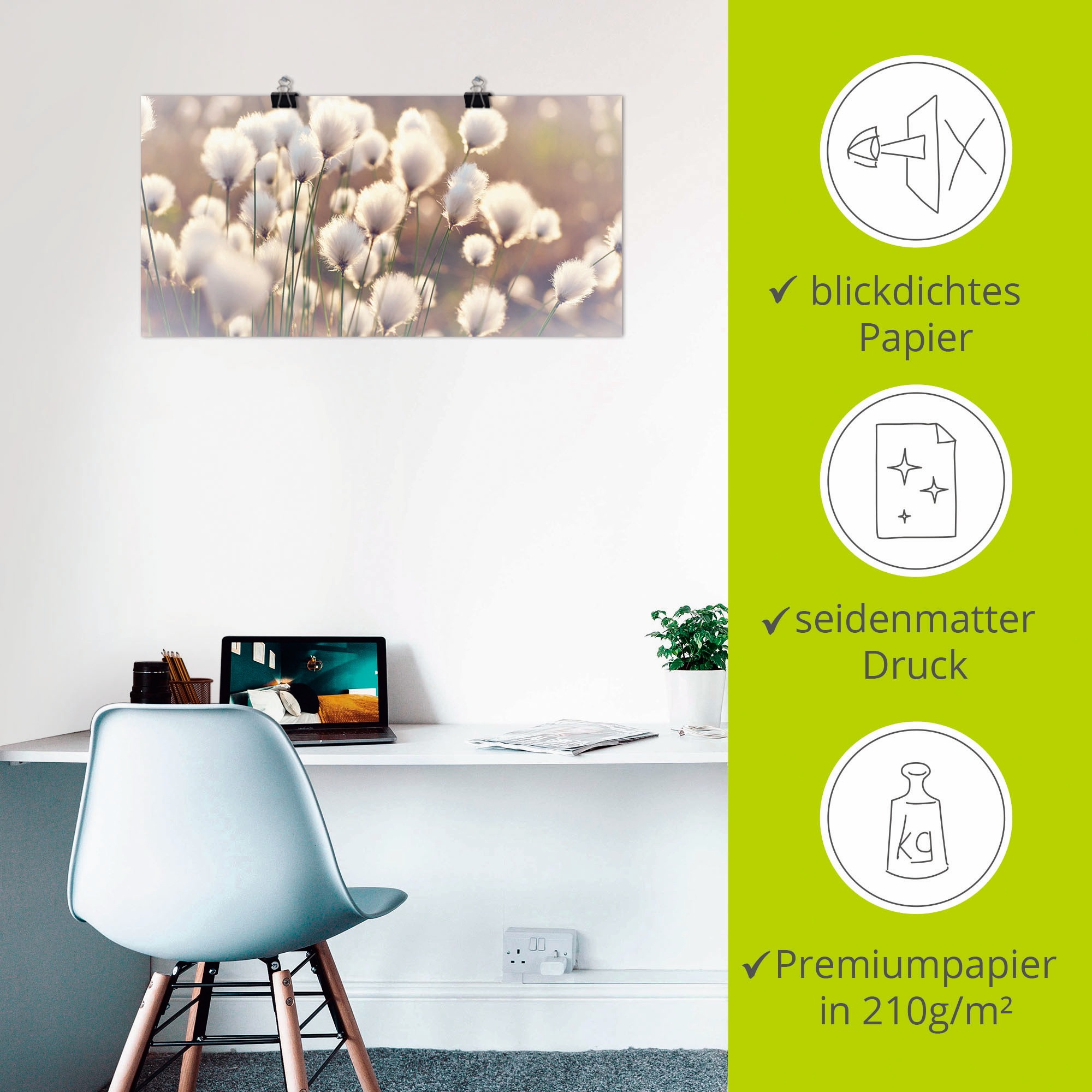 Artland Wandbild »Wollgraszauber im Moor«, Gräser, (1 St.), als Alubild, Outdoorbild, Leinwandbild, Poster, Wandaufkleber