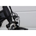 Maxtron E-Bike »MT 13X«, 8 Gang, Shimano, Mittelmotor 250 W