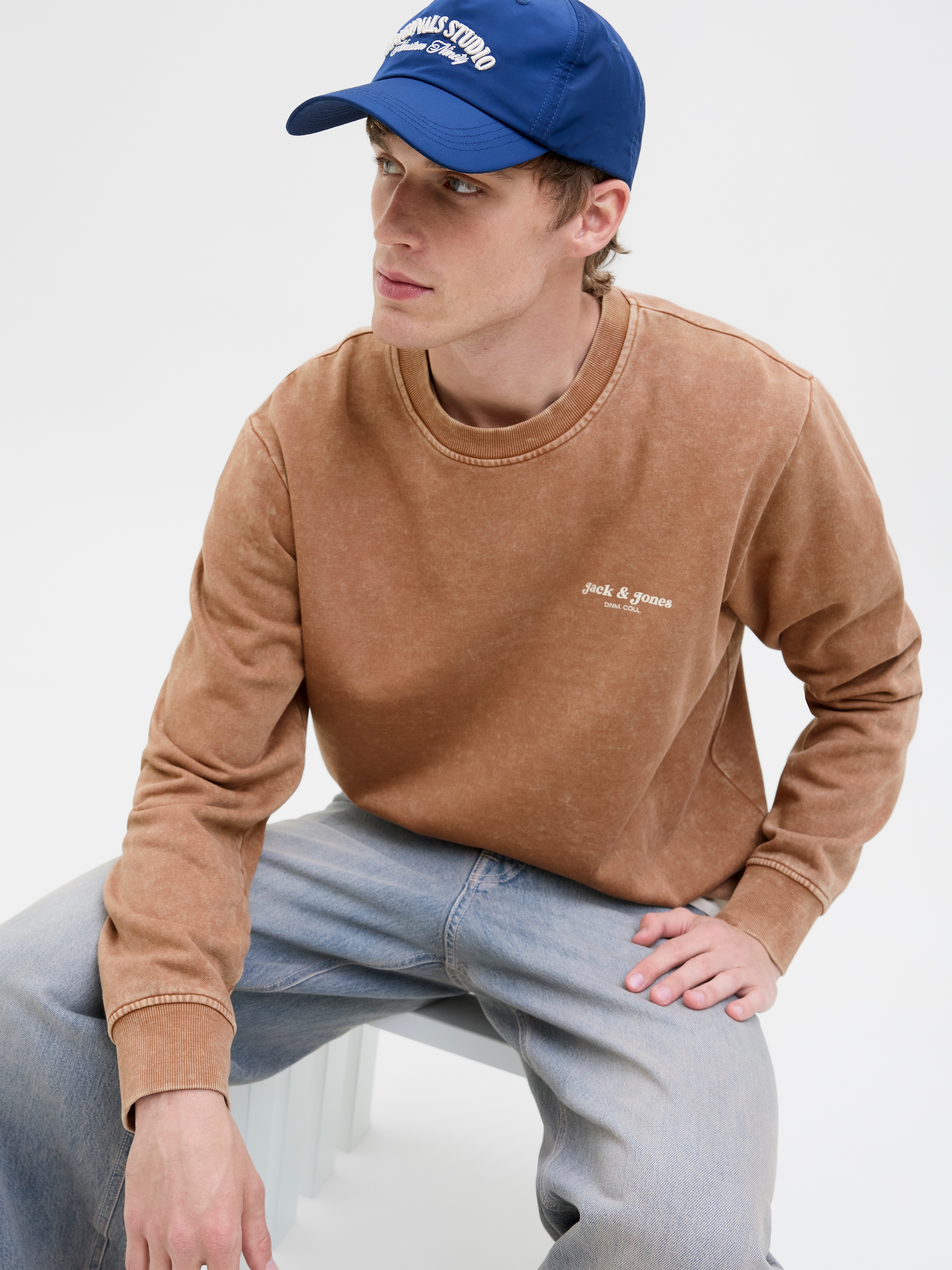 Jack & Jones Sweatshirt »JJEDOVER PRINT SWEAT CREW NECK«
