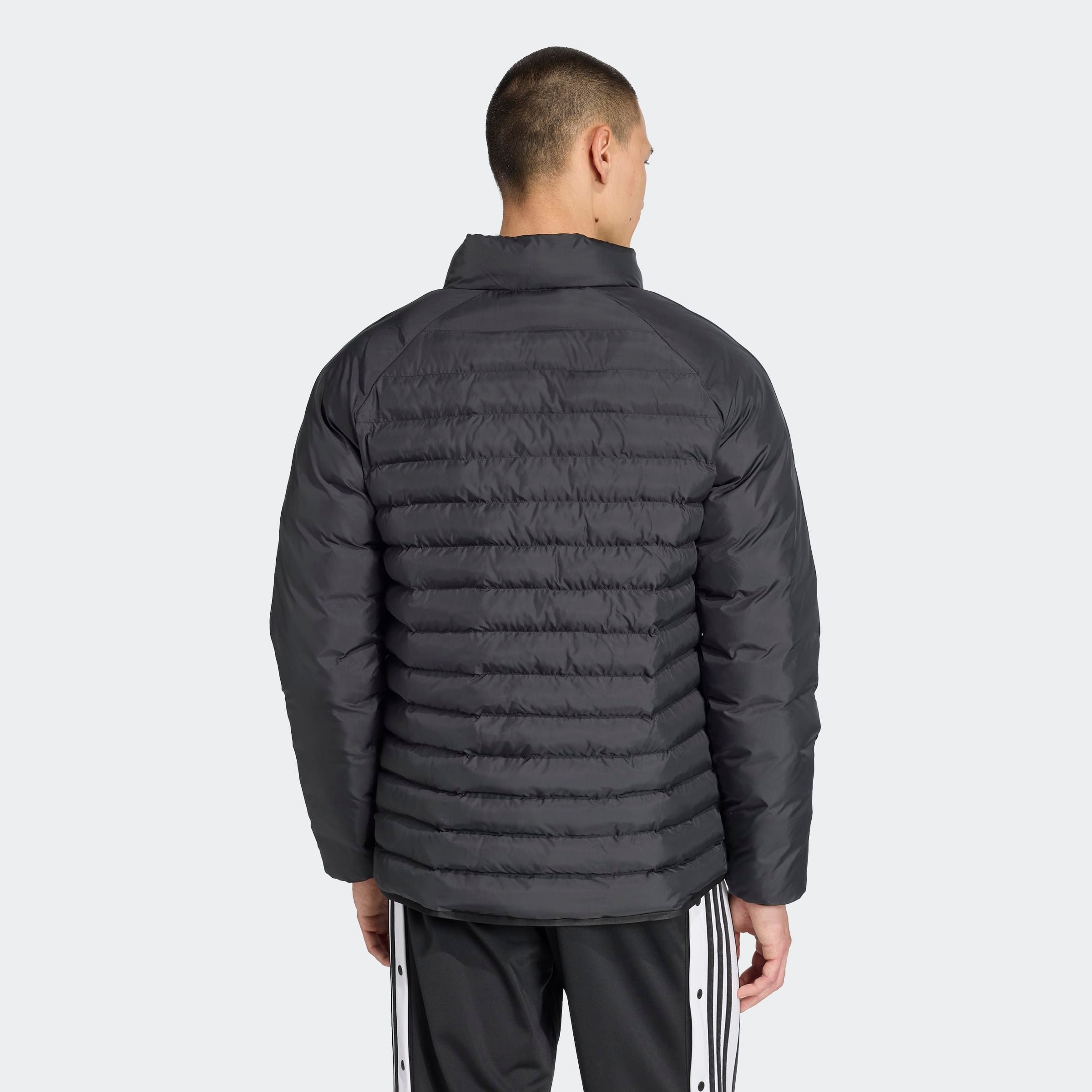 adidas Originals Steppjacke "PADDED COLLAR" günstig online kaufen