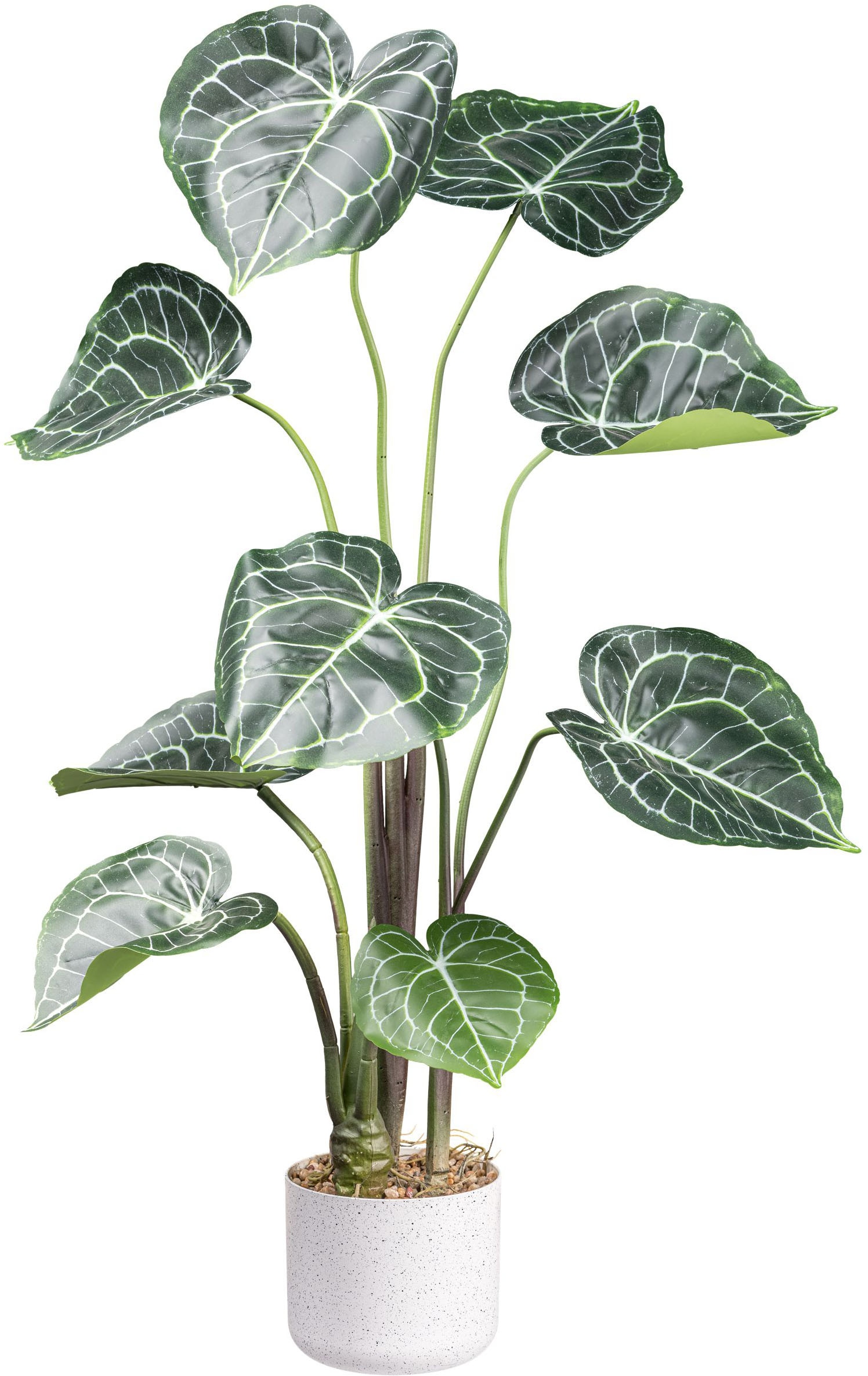 Creativ green Künstliche Zimmerpflanze »Anthurium Cl...