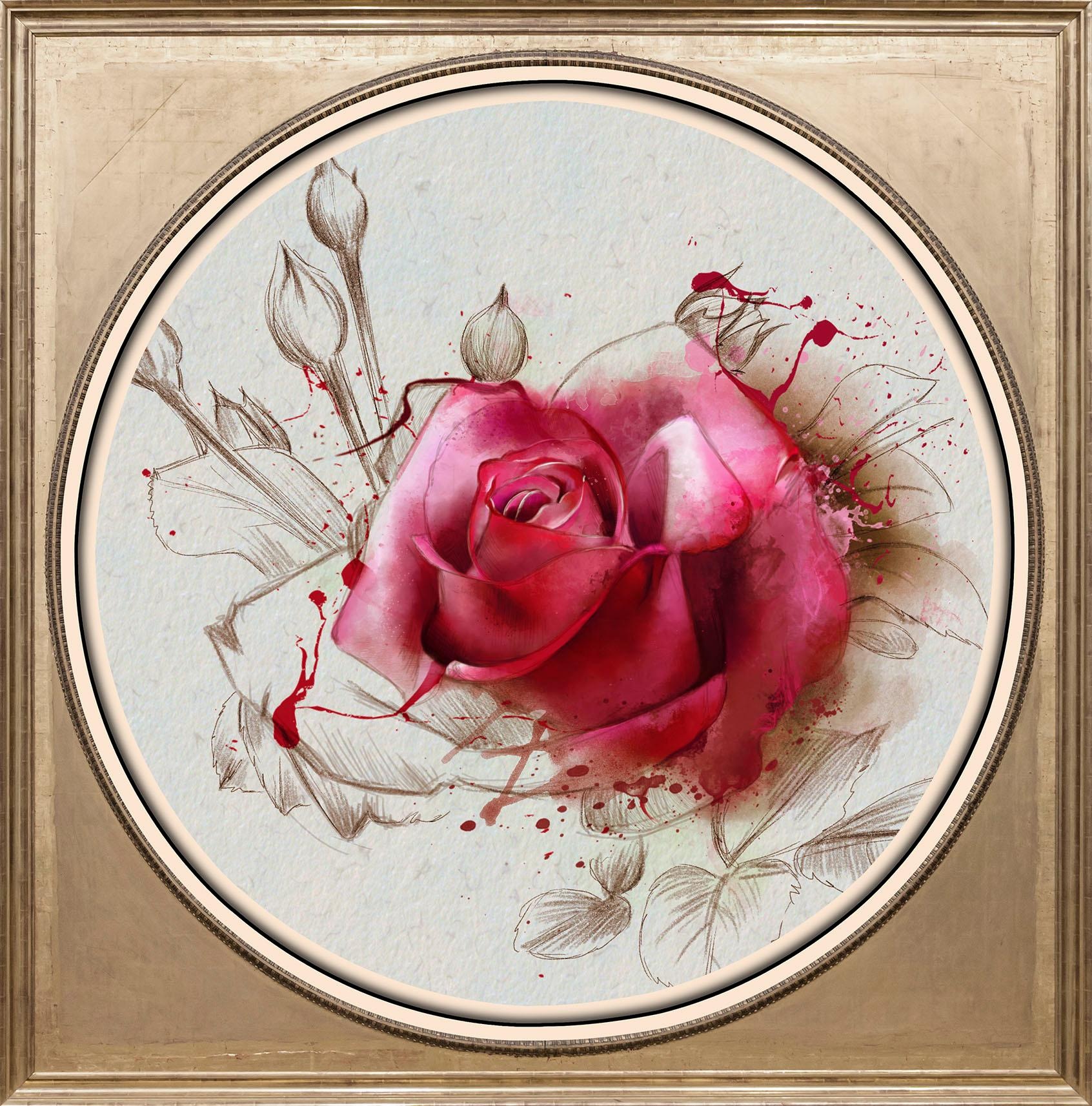 queence Acrylglasbild "Rosa Rose", Blumen-Blumenbilder-Kunst-Pflanzen-Pflan günstig online kaufen