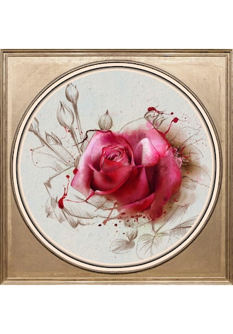 queence Acrylglasbild »Rosa Rose«