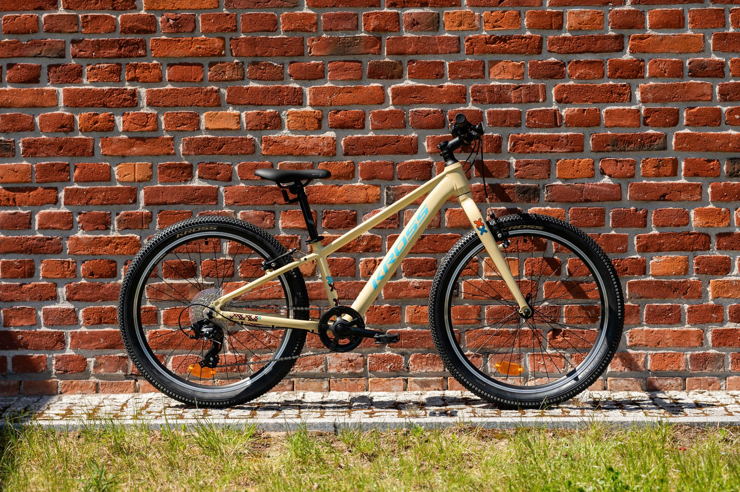 Kross Kinderfahrrad »Kinder-MTB Level Jr 1.0«, 8 Gang, Shimano, TOURNEY TX800 Schaltwerk, Kettenschaltung