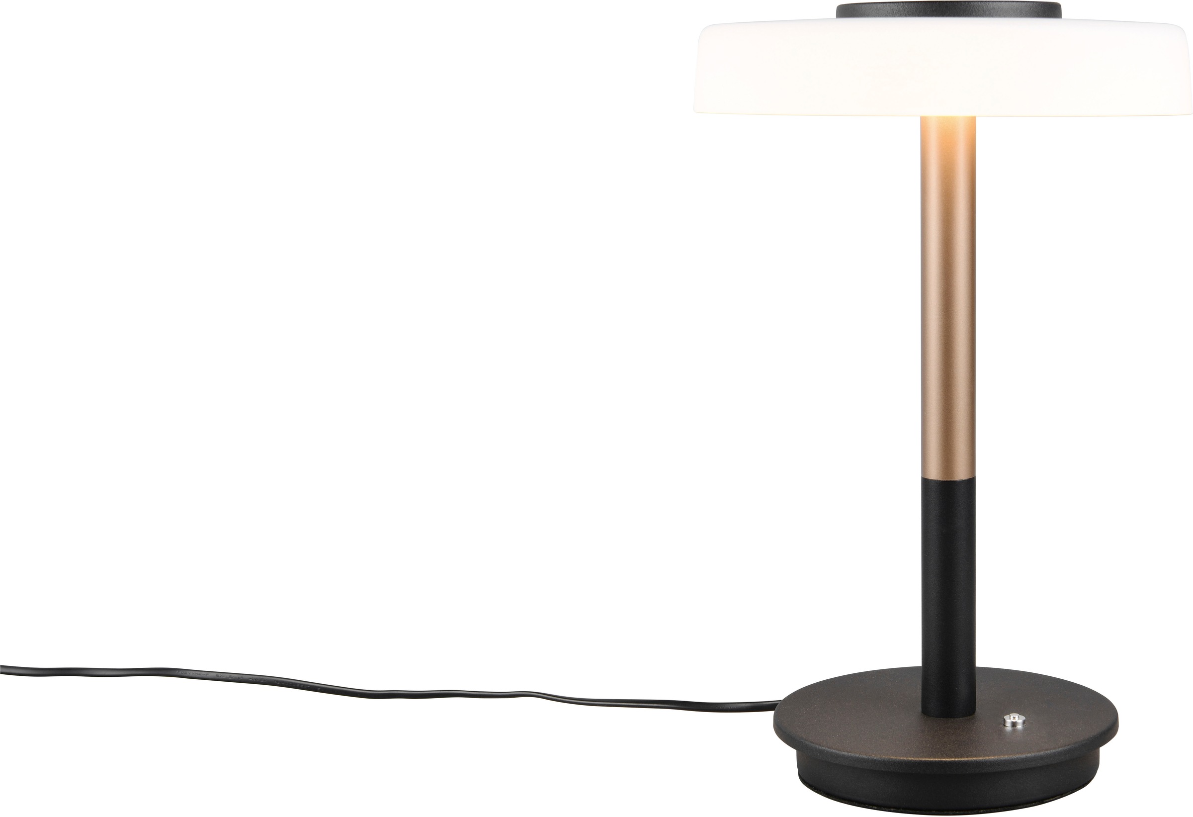 TRIO Leuchten LED stalinis šviestuvas »CELESTE LED s...