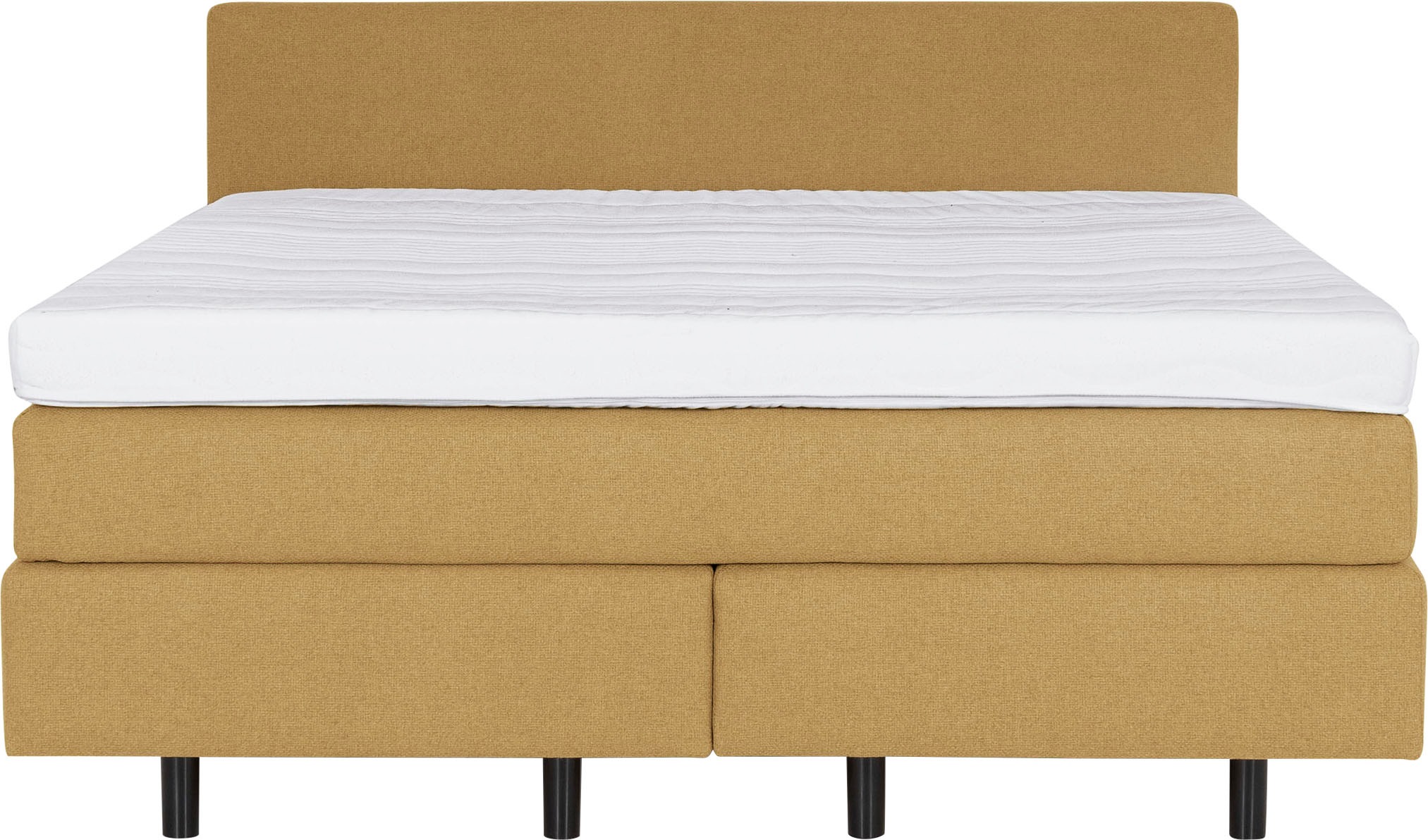 Die PlanBar Boxspringbett »OC-ON23163« inkl. Matratzen, Topper u. Bonellfederkern Unterbau, 160/180x200cm