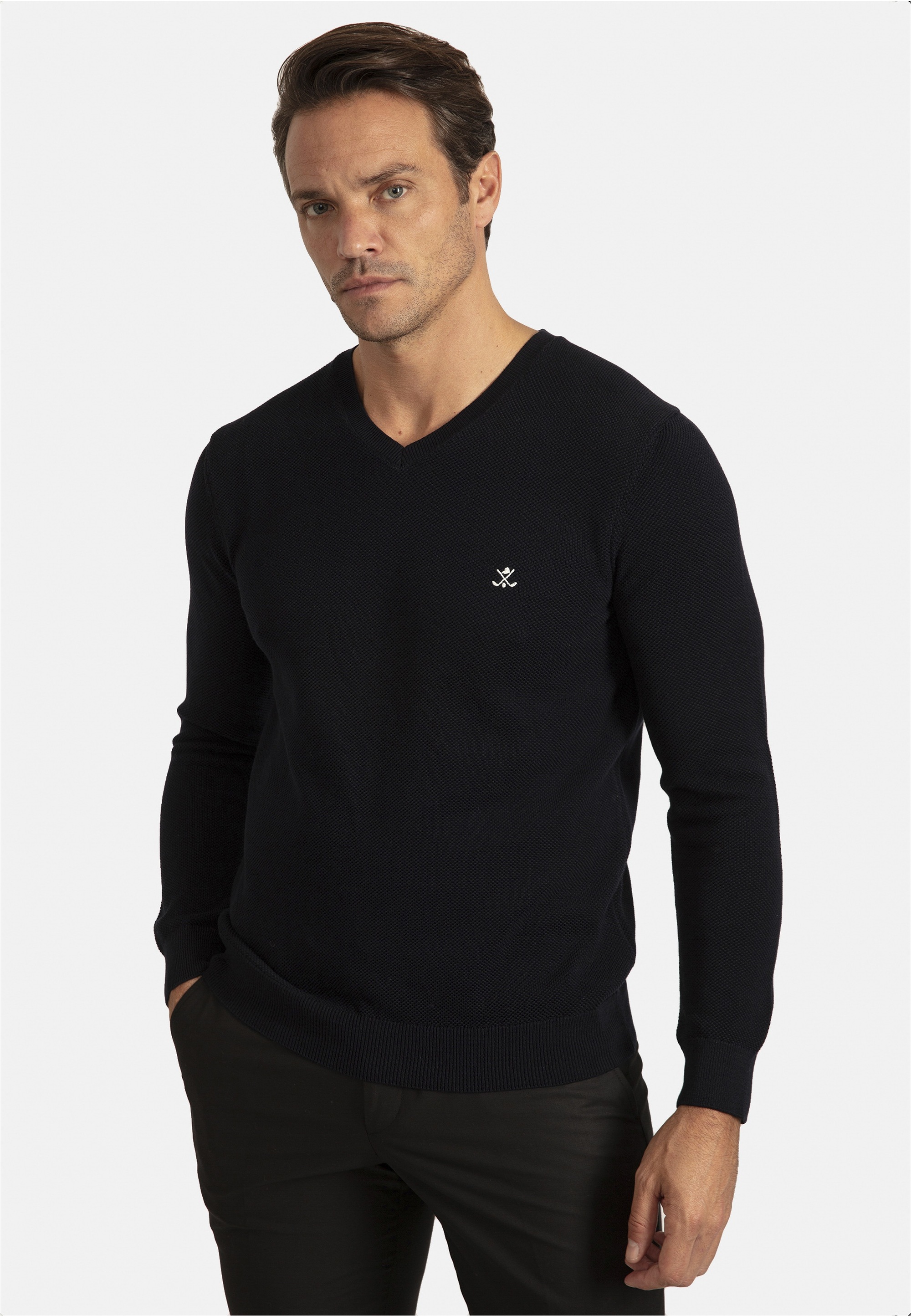 SIR RAYMOND TAILOR V-Ausschnitt-Pullover »Liva«, mit elegantem V-Ausschnitt