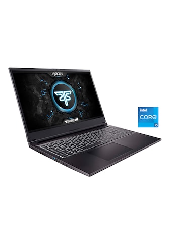 Hyrican Gaming-Notebook »Striker 1644« 3962 cm...