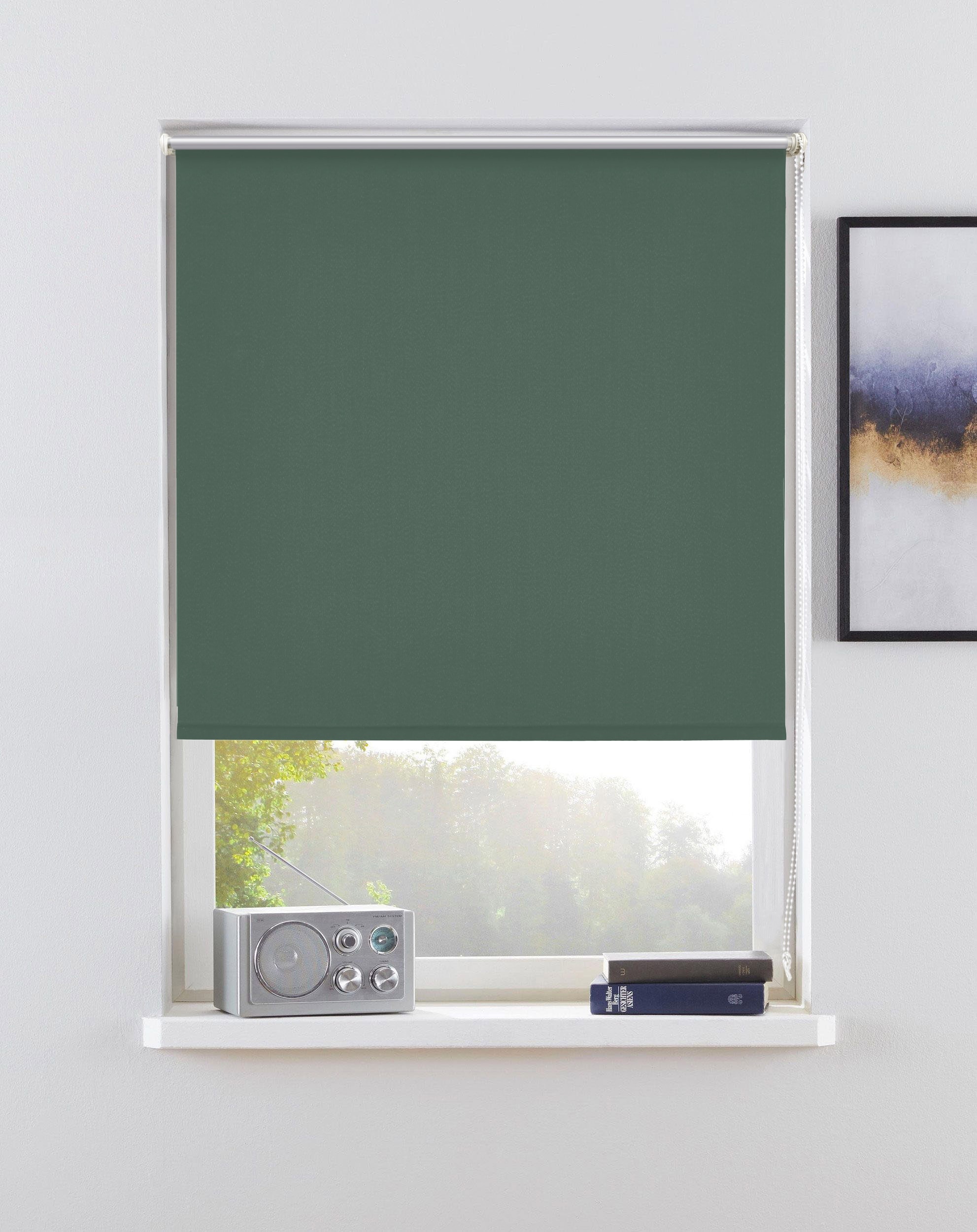 my home Seitenzugrollo "THEMSE" abdunkelnd Sichtschutz  Verdunkelung  energ günstig online kaufen