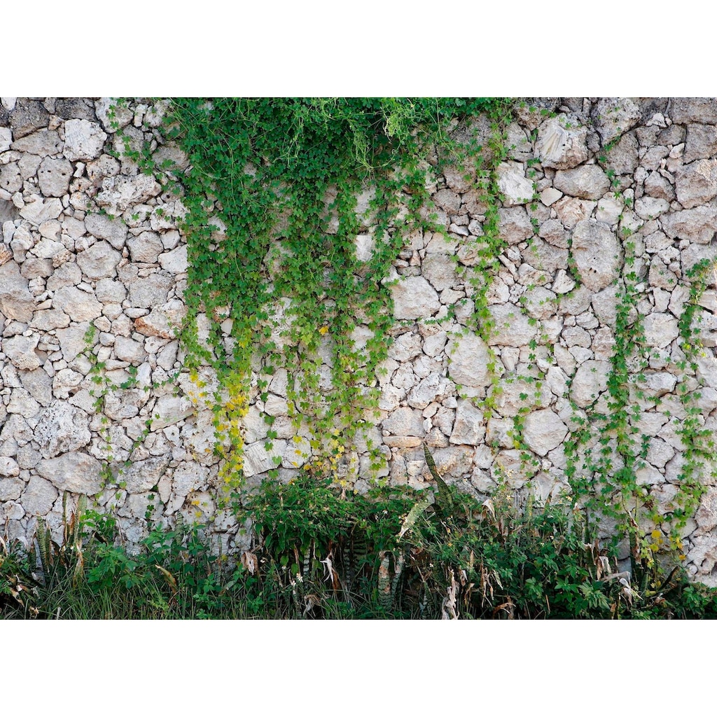 living walls Fototapete »Natursteinmauer Vlies«