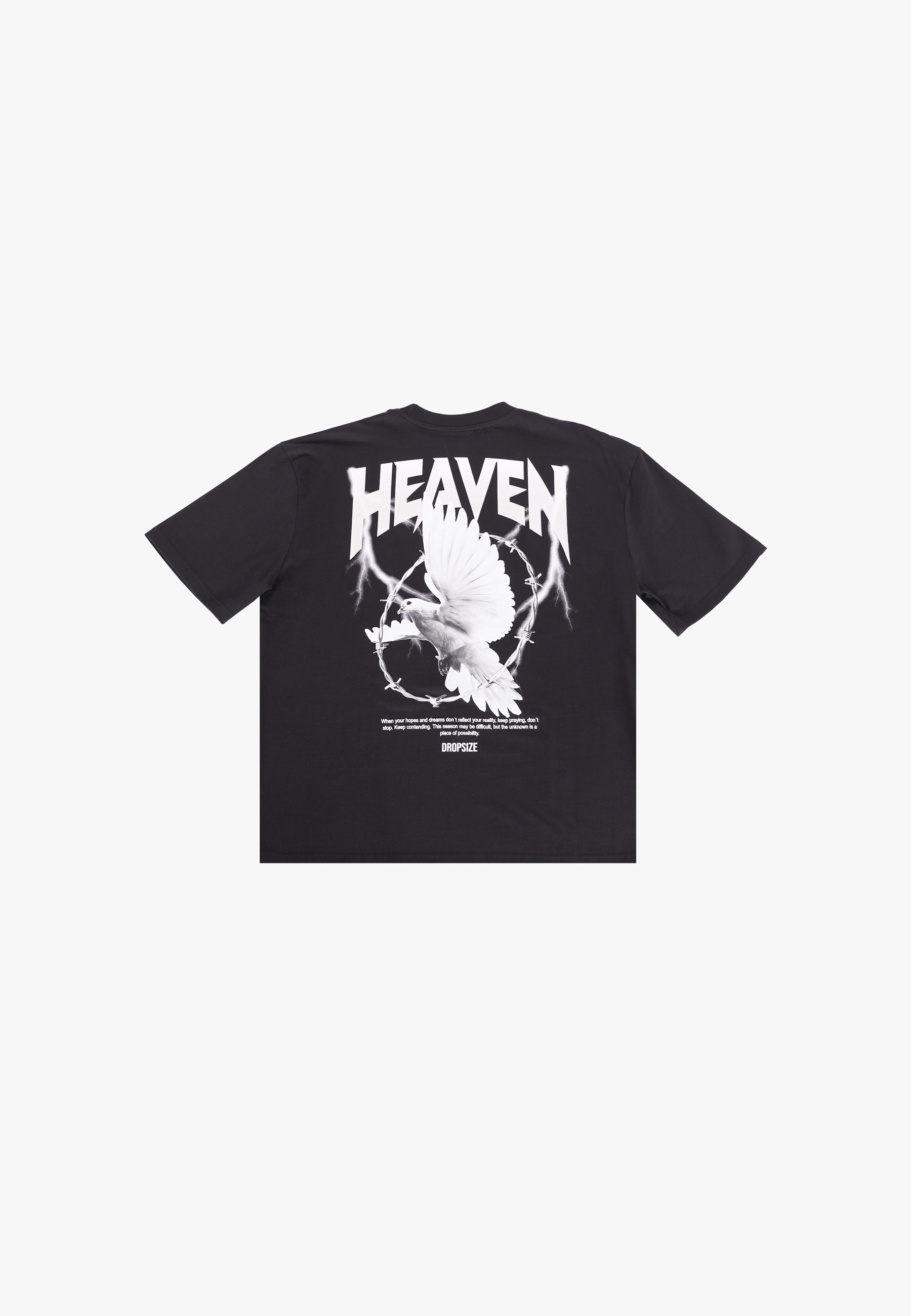 Dropsize T-Shirt »Dropsize HEAVY OVERSIZED HEAVEN DOVE T-SHIRT« 1 Stk.