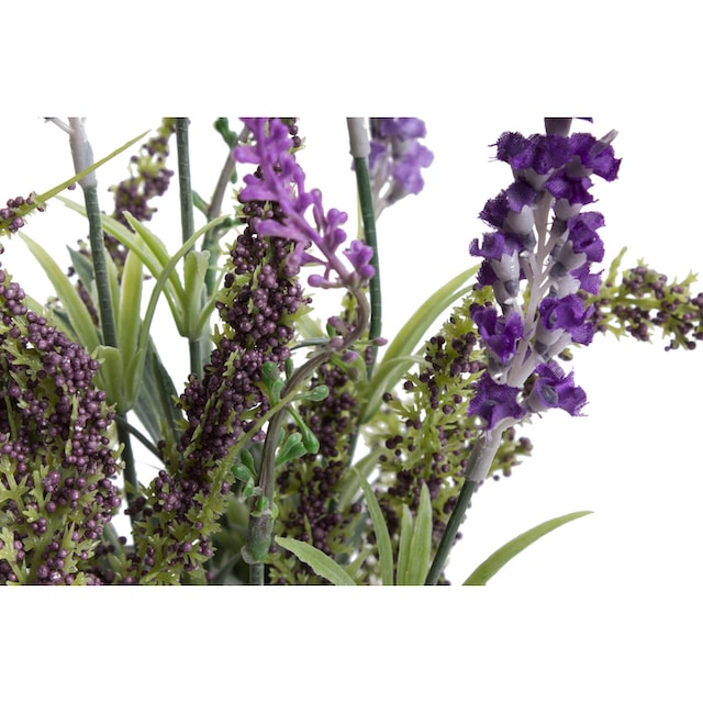 Botanic-Haus Künstliche Zimmerpflanze »Lavendel - Erika Arrangement im Korb«  kaufen | BAUR