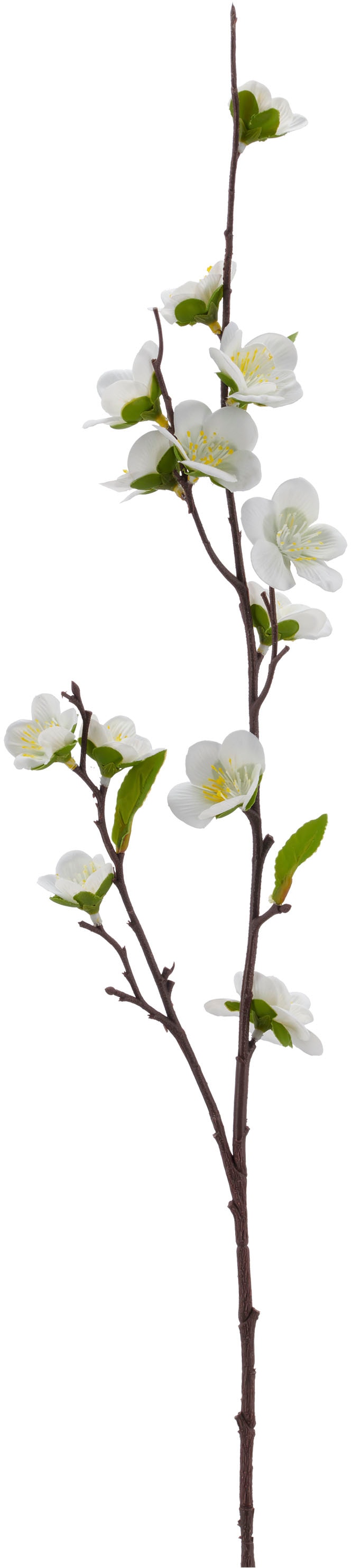 Creativ green Kunstzweig »Kirschblütenzweig« mit traumhaft schönen Blüten