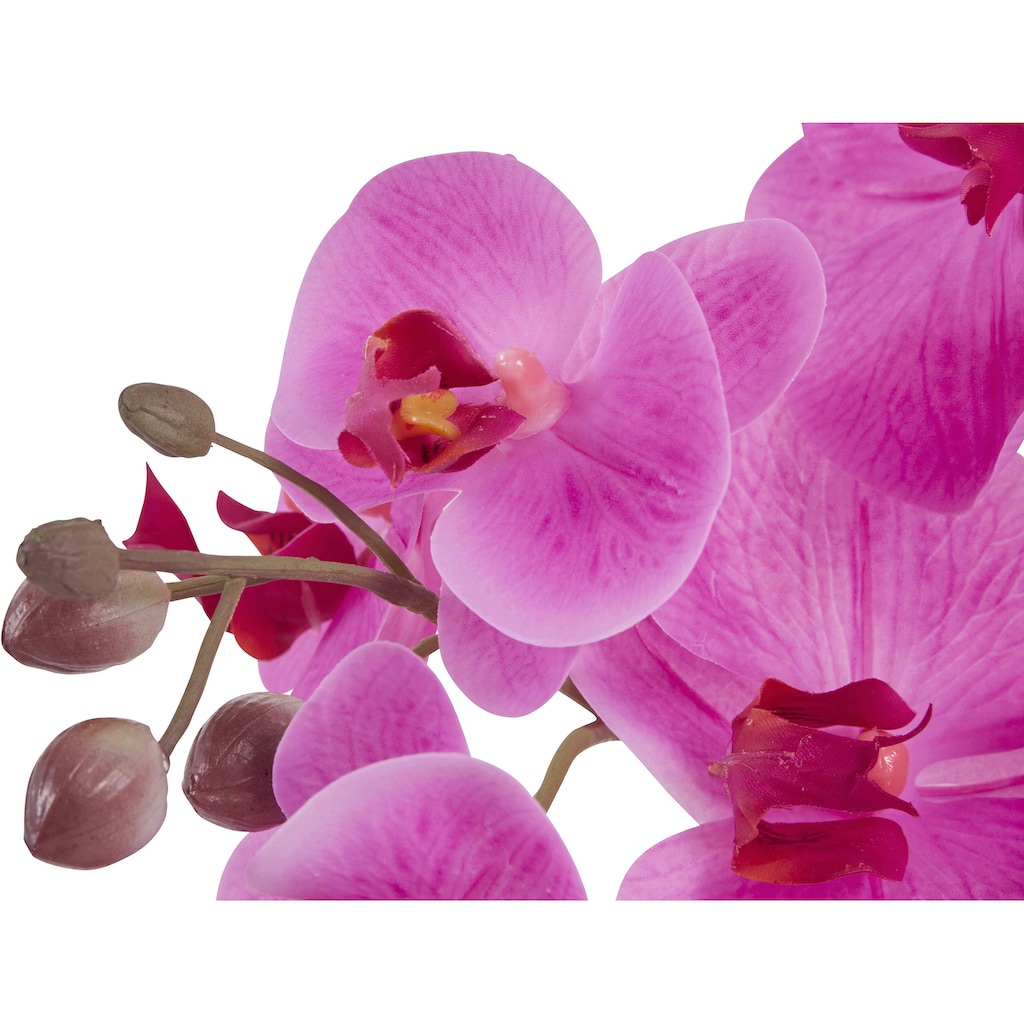 Leonique Kunstpflanze »Orchidee«