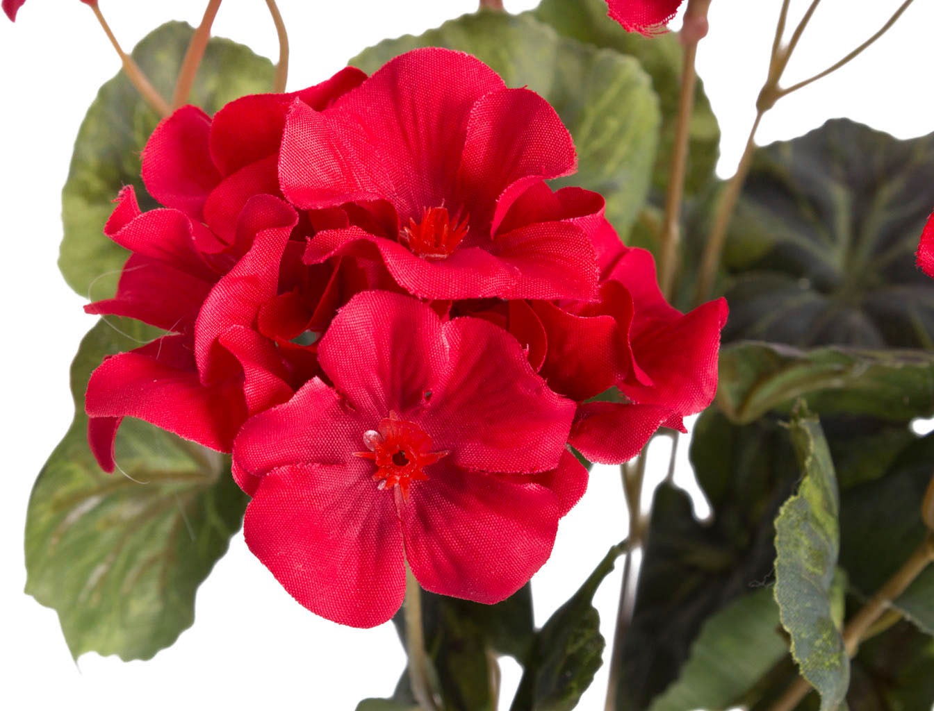 Kunstblume BOTANIC-HAUS "Geranienbusch", rot, B:22cm H:37cm T:22cm Ø:22cm, Kunststoff, Kunstpflanzen 3