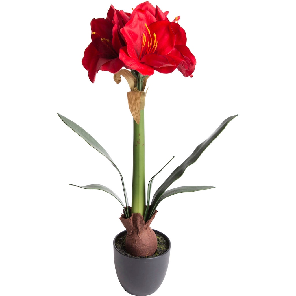 Botanic-Haus Kunstblume »Amaryllis«