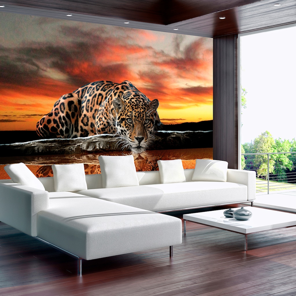 Consalnet Fototapete »Jaguar Sonnenuntergang«, Motiv