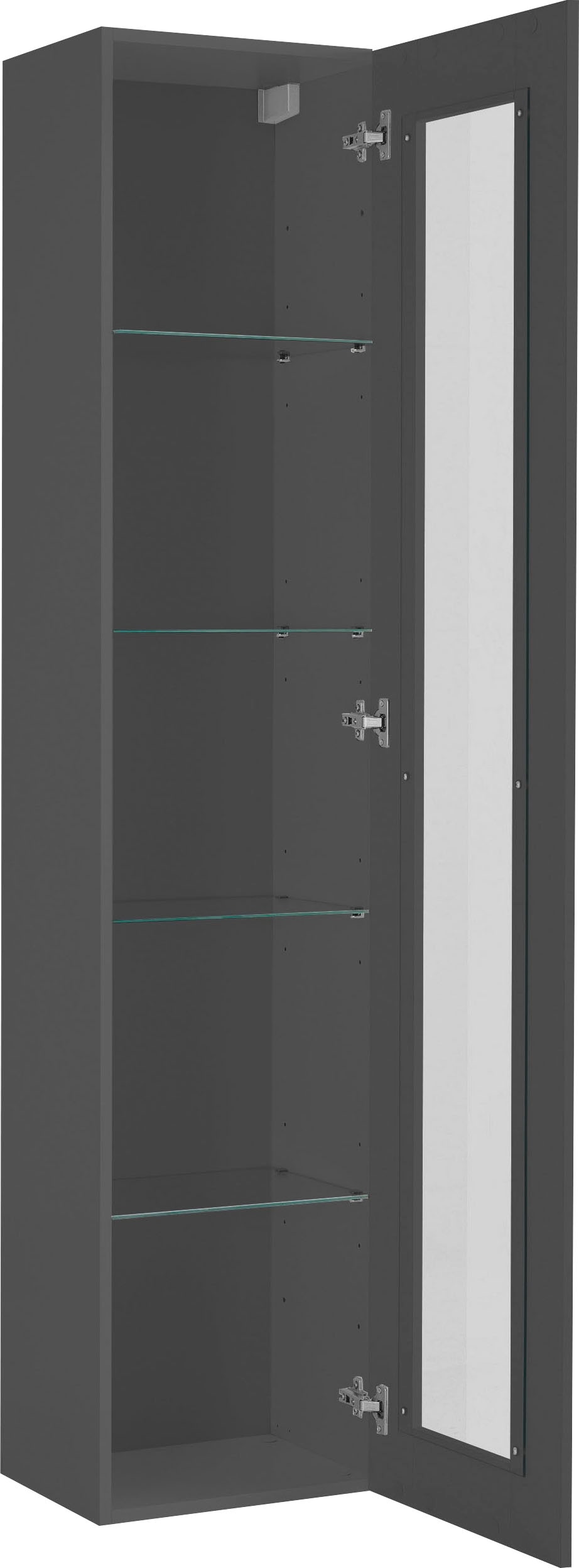 INOSIGN Vitrine »Maruska«, (1 St.), Glasvitrine, Stauraumvitrine, stehend und hängend montierbar