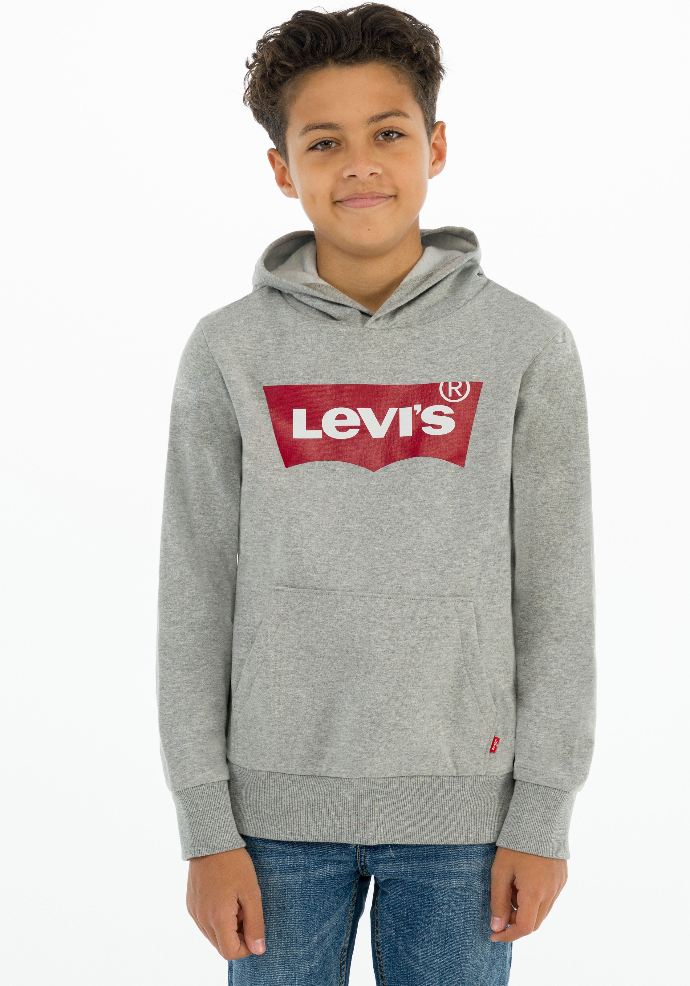Levis Kids "LVB BATWING PULLOVER HOODIE", for BOYS