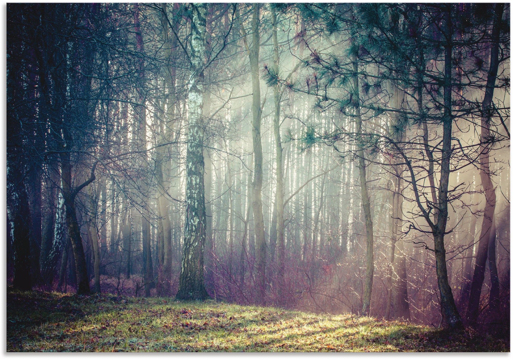 Wandbild versch. St.), BAUR im Waldbilder, Wald«, Wandaufkleber | Artland Größen Alubild, in oder Leinwandbild, bestellen »Sonnenstrahlen Poster (1 als