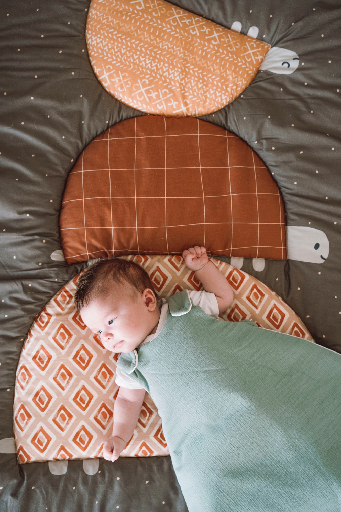 Krabbeldecke Organic, Turtles, Julius Zöllner, Made in Germany günstig online kaufen