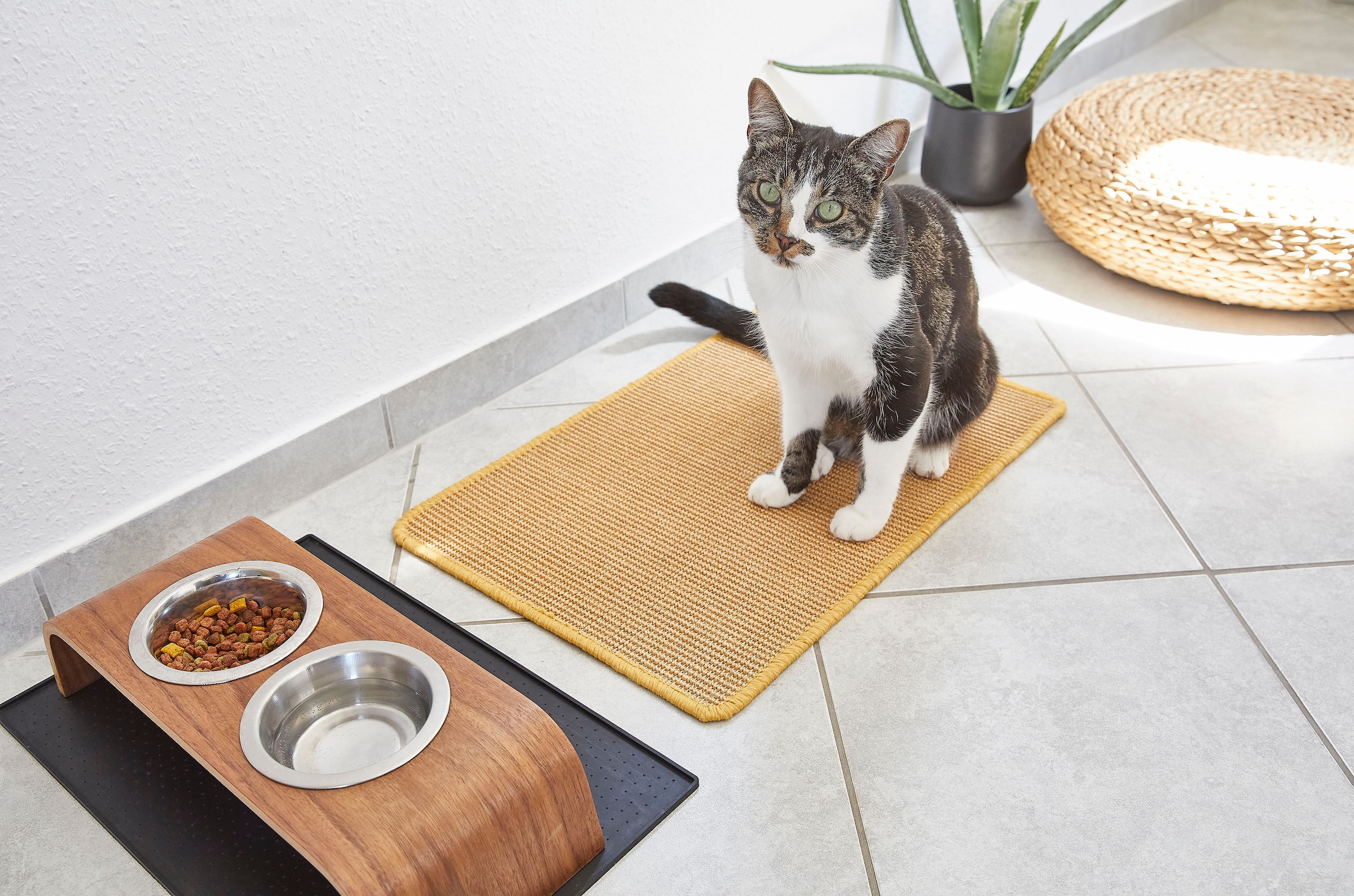 Pets Club Kratzmatte »Katzen-Kratzmatte Sisal«, (1 tlg.), Kratzteppich, aus 100% Sisal, in verschiedenen Größen erhältlich