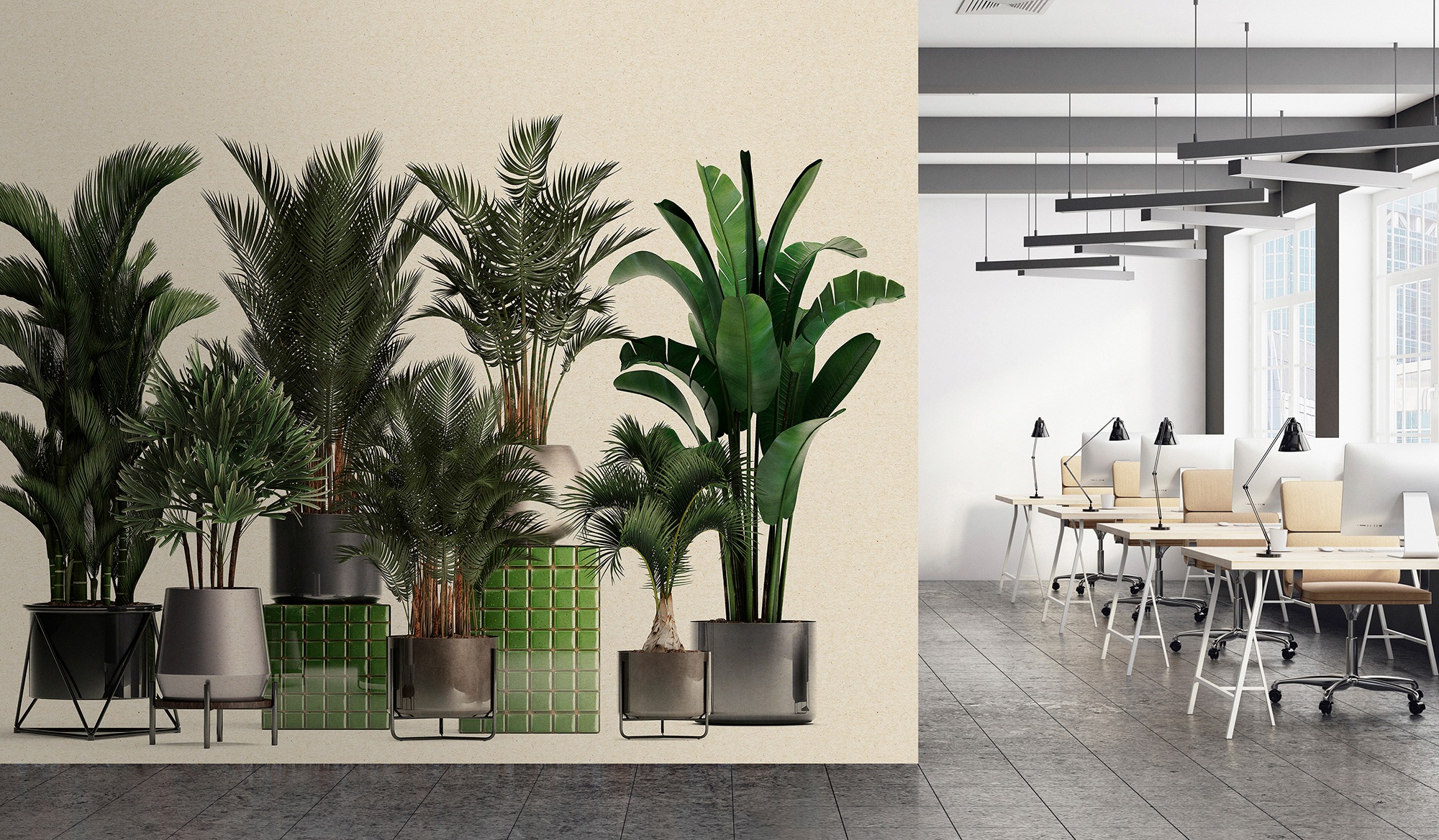 living walls Fototapete »Walls by Patel Plant Shop«, Vlies, Wand
