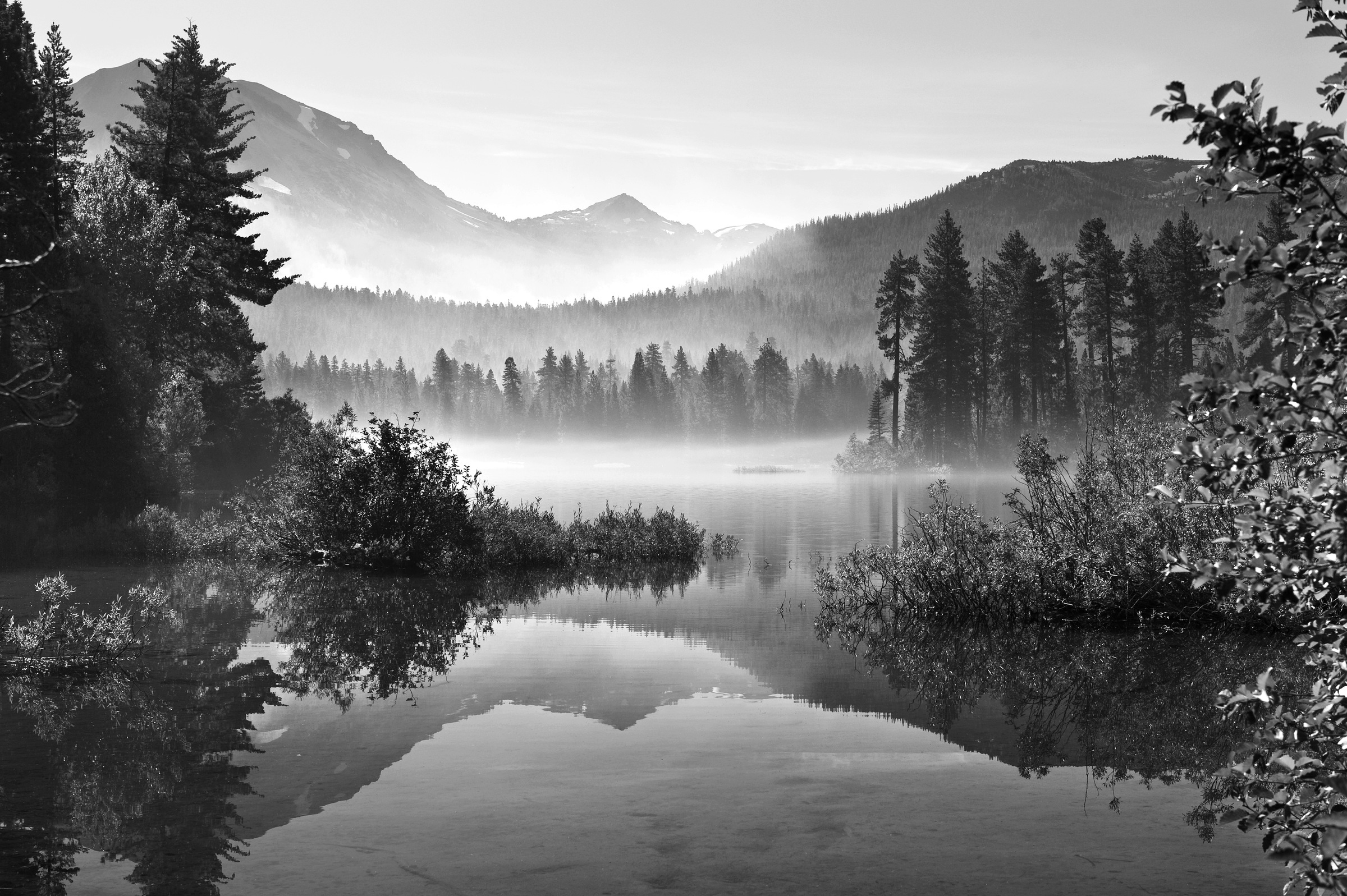 Papermoon Fototapete "Landschaft Schwarz & Weiß" günstig online kaufen