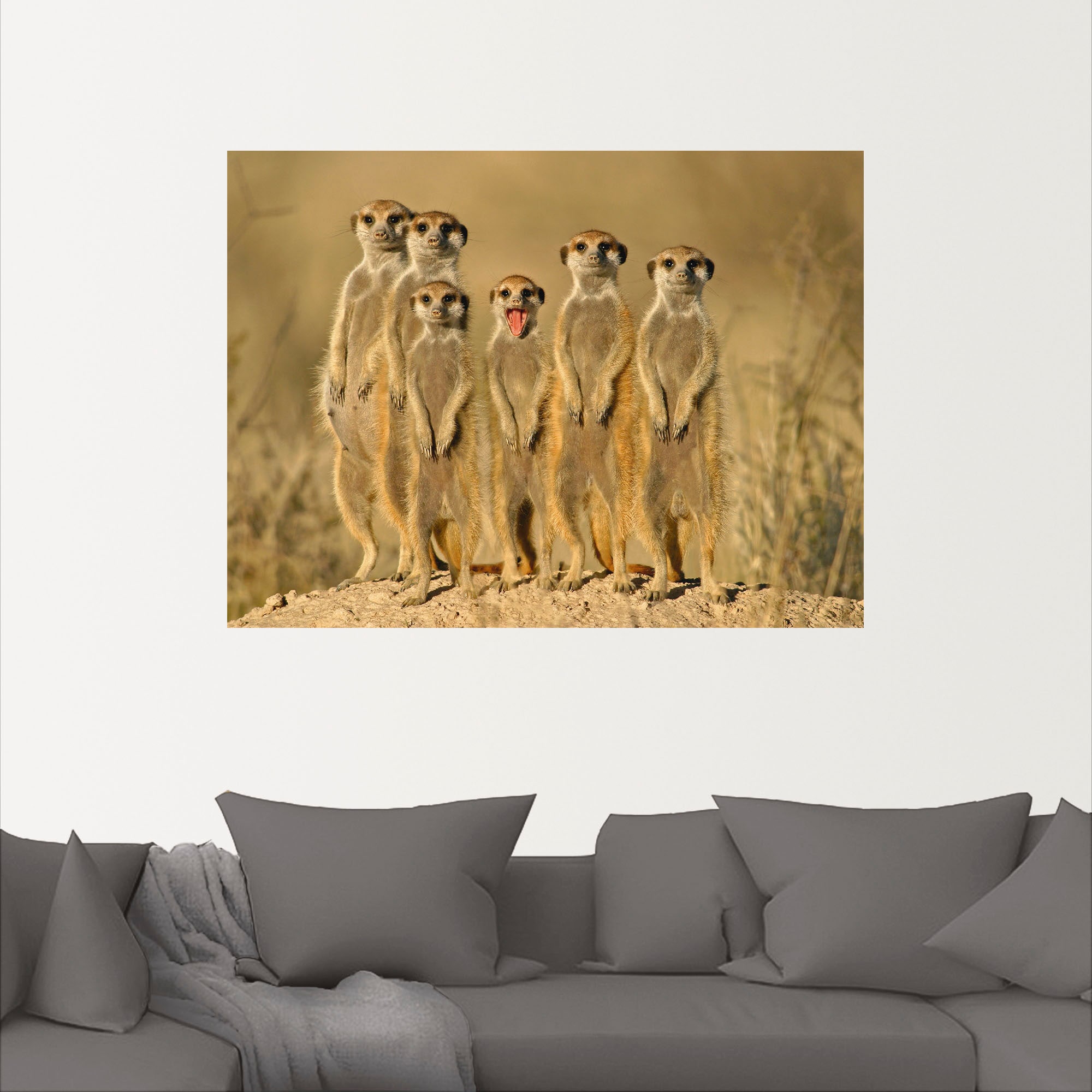 Artland Wandbild »Erdmännchen Familie«, Wildtiere, (1 St.), als Alubild, Outdoorbild, Leinwandbild, Poster, Wandaufkleber