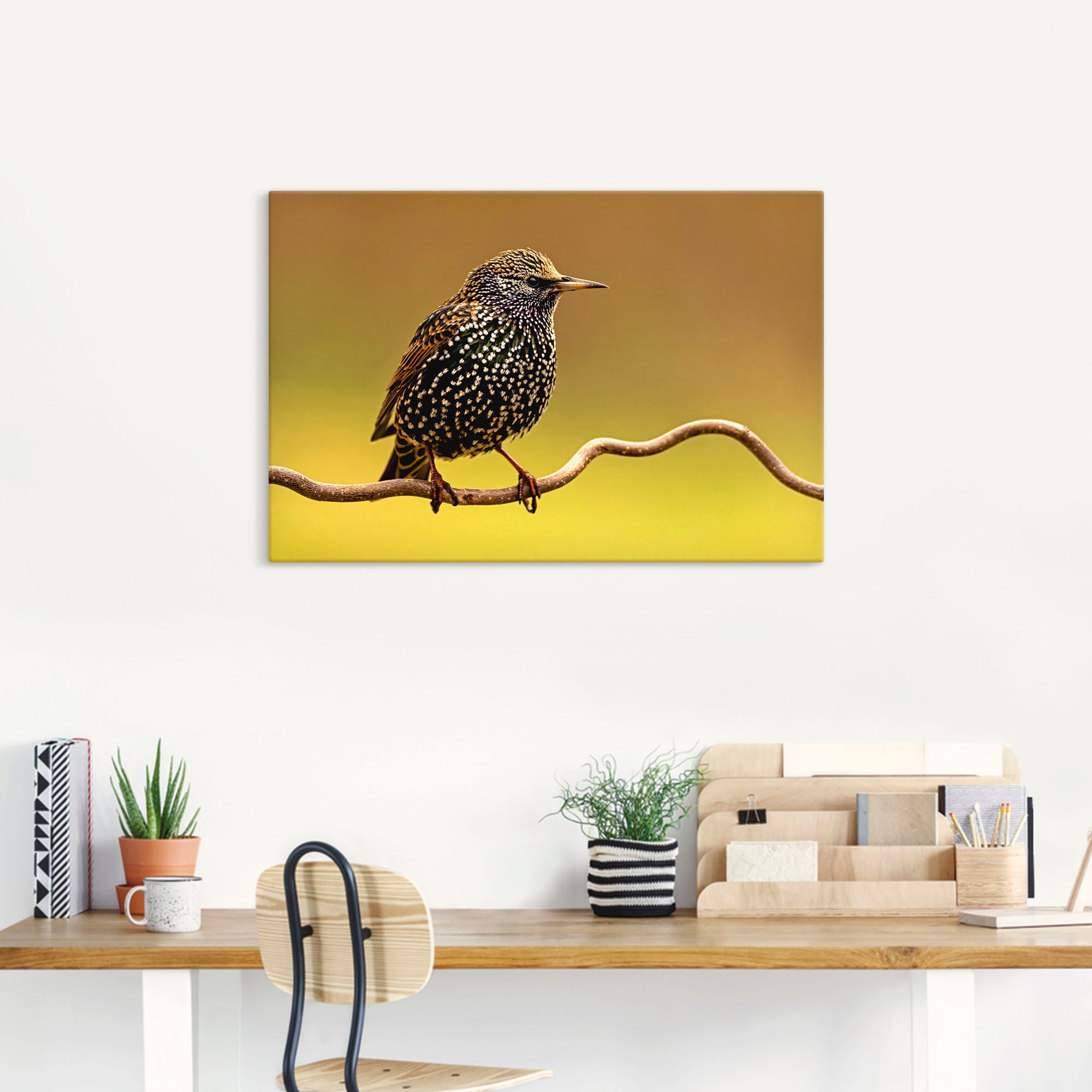 Artland Wandbild »Star«, Vogelbilder, (1 St.), als Leinwandbild, Poster in verschied. Größen