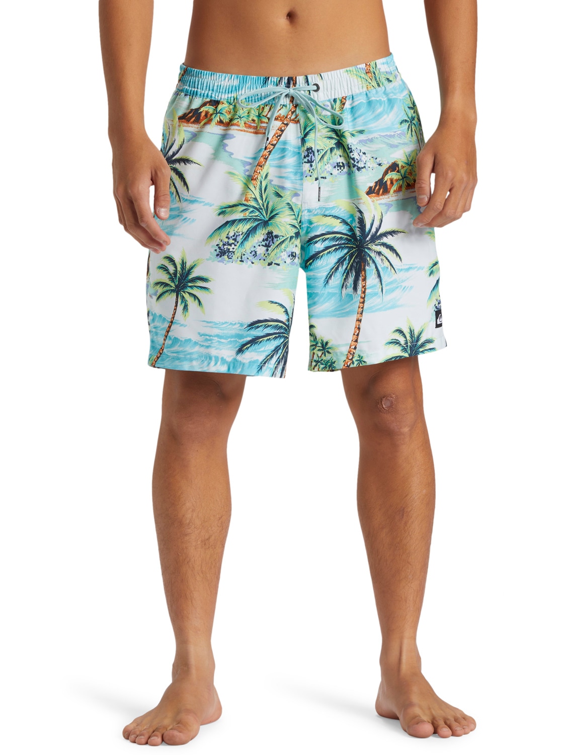 Quiksilver Badeshorts "Everyday Mix 17"" günstig online kaufen