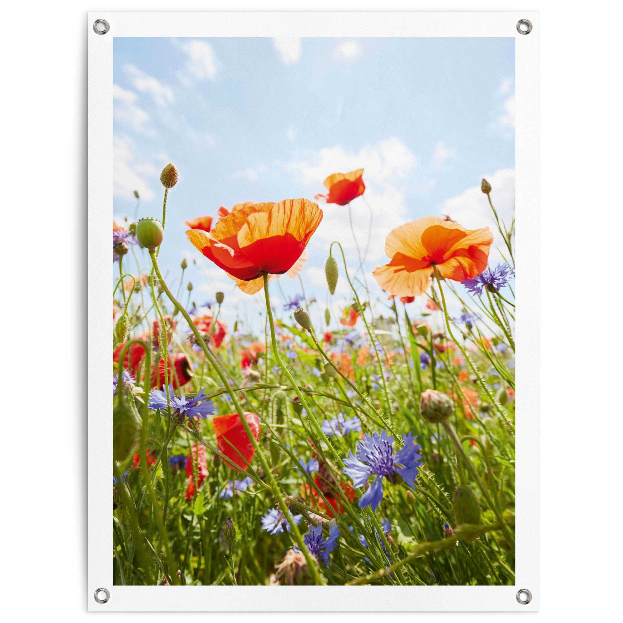 Reinders Poster "Blumenfeld", Outdoor für Garten oder Balkon günstig online kaufen