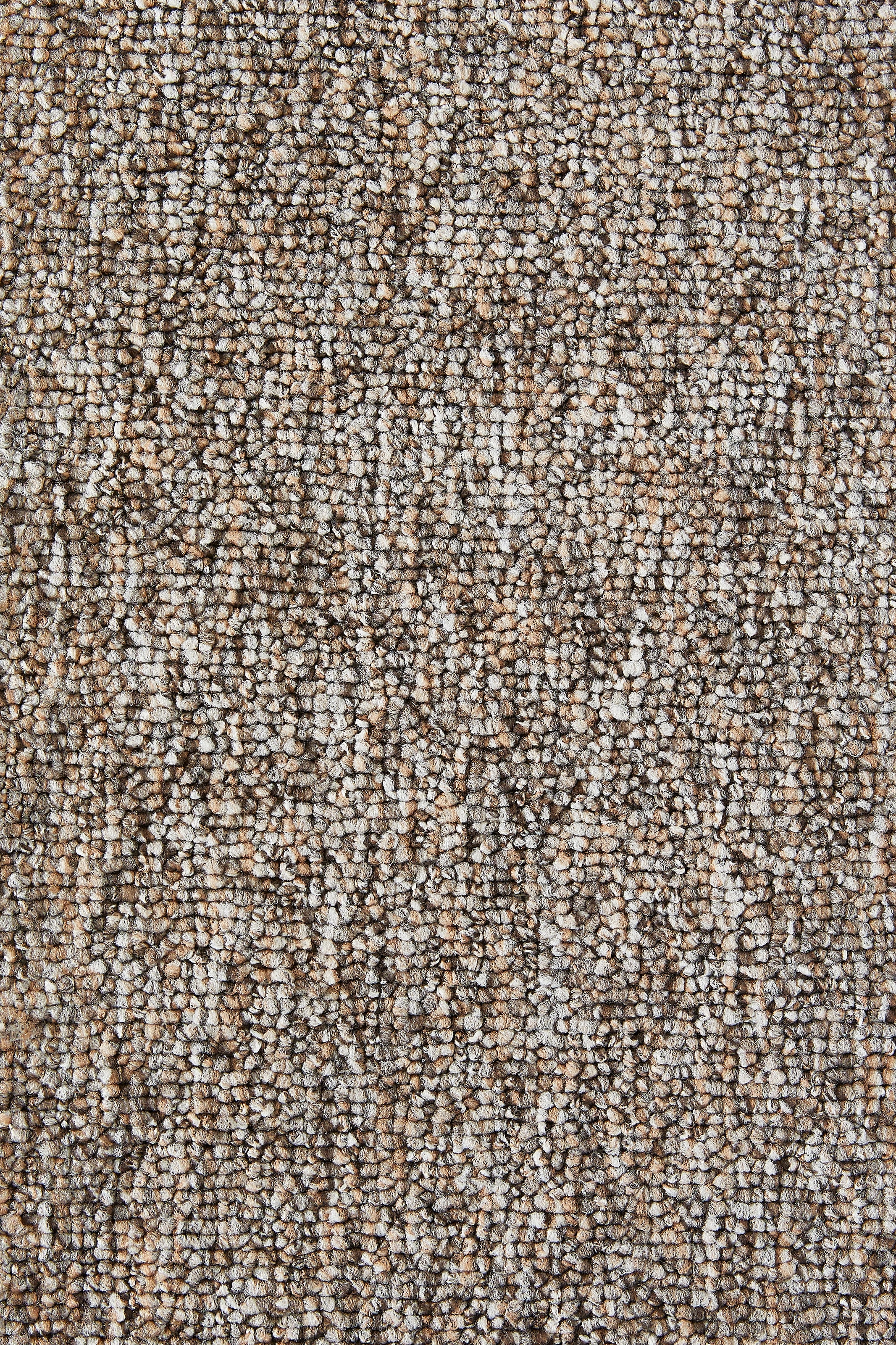 my home Teppichboden »Bruno, Schlinge«, rechteckig, 4 mm Höhe, meliert, Breite 400, robust, rutschsicher, 100% recyceltes Polyester