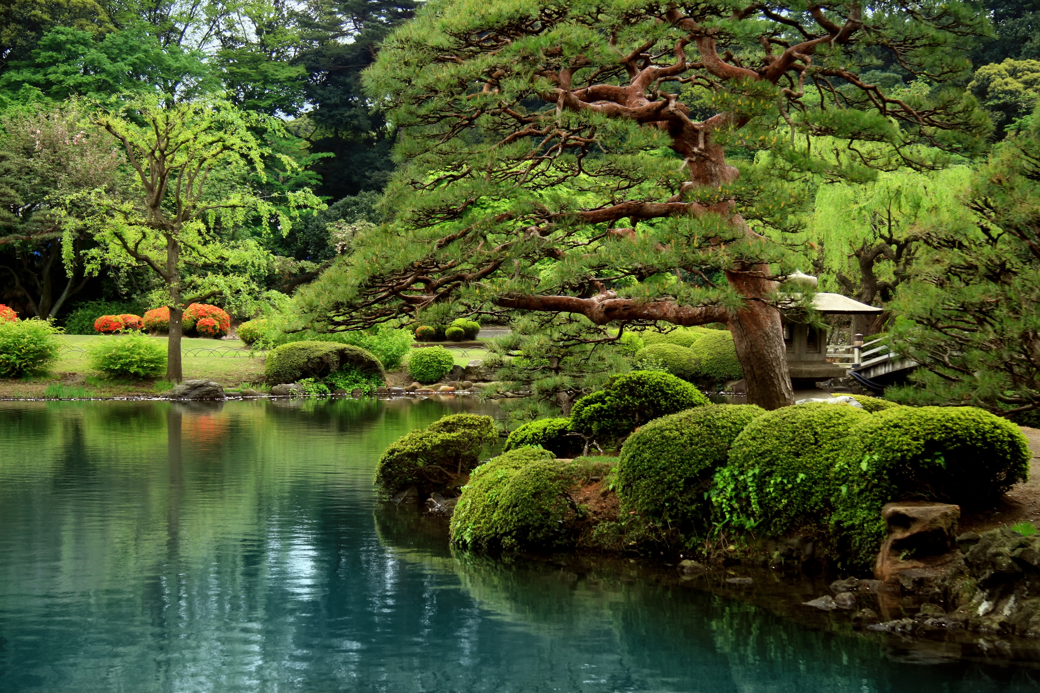 Papermoon 1100000002199 "Calm Zen Lake" glatt