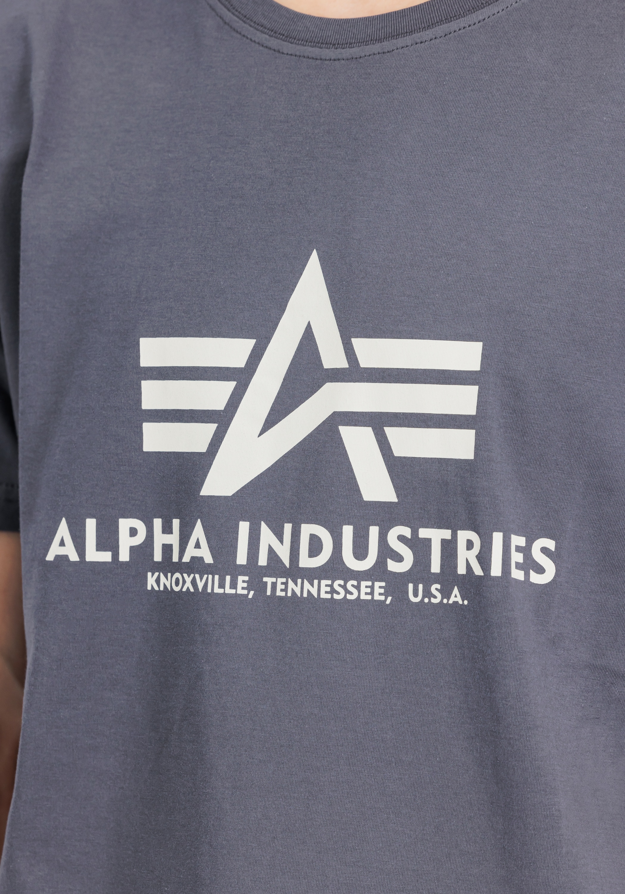 Alpha Industries T-Shirt »Alpha Industries Men - T-Shirts Basic T-Shirt BL 2 Pack«
