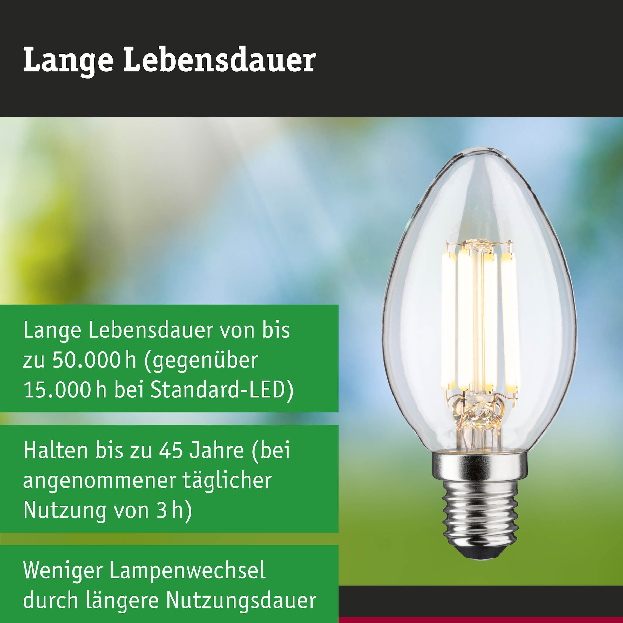 Paulmann LED-Leuchtmittel »Efficient-Line Kerze 840lm 4W 3000K klar 230V« E14 1 Stk. Warmweiß