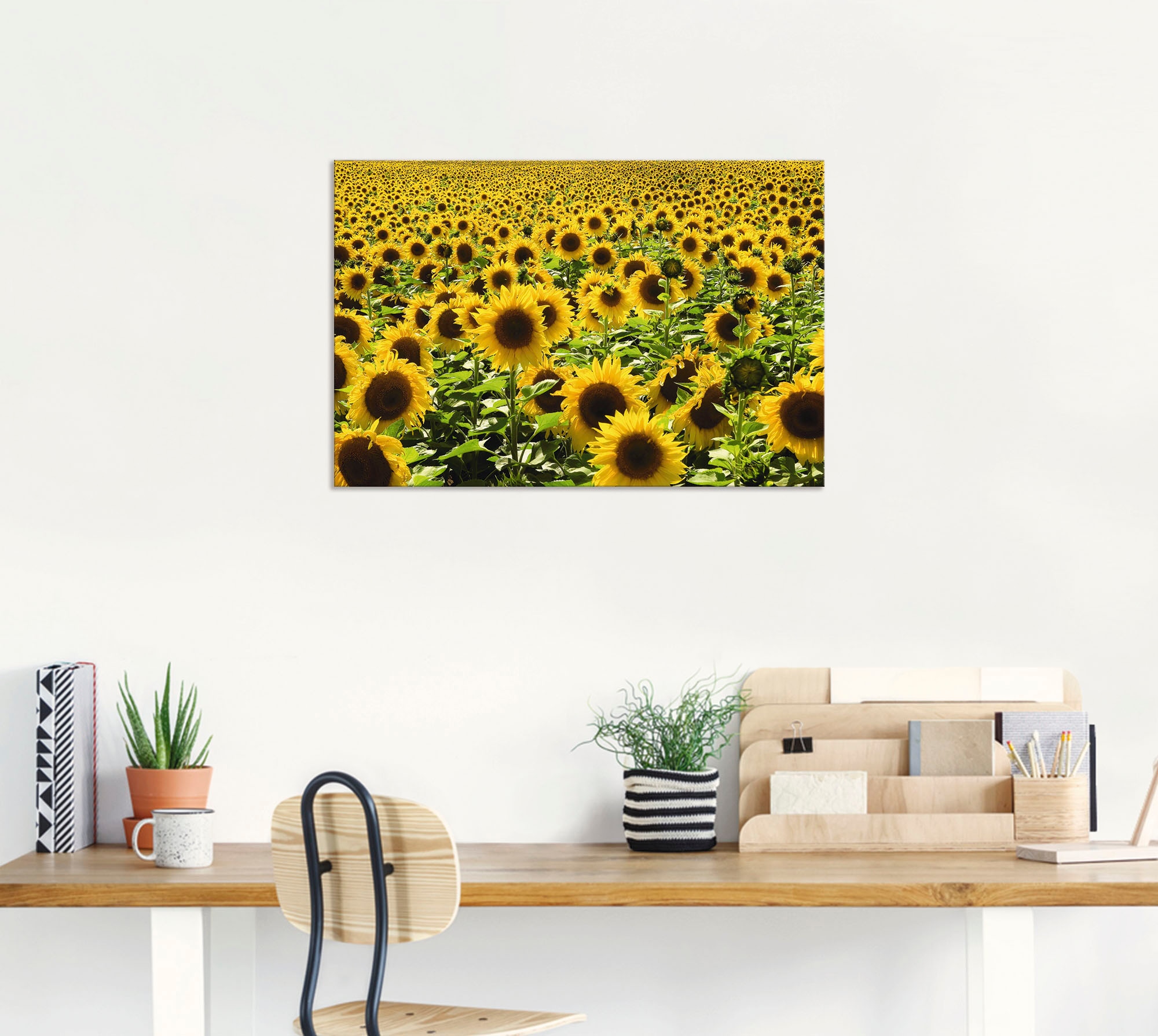 Artland Wandbild »Sonnenblumenfeld« Blumen 1 Stk. tlg. als Alubild, Leinwandbild in verschied. Größen