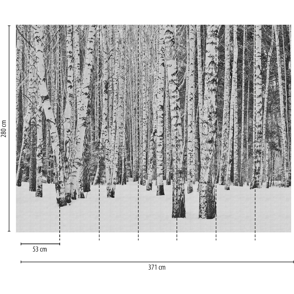 living walls Fototapete »The Wall«, Wald-Schwarz-Weiß-Holz