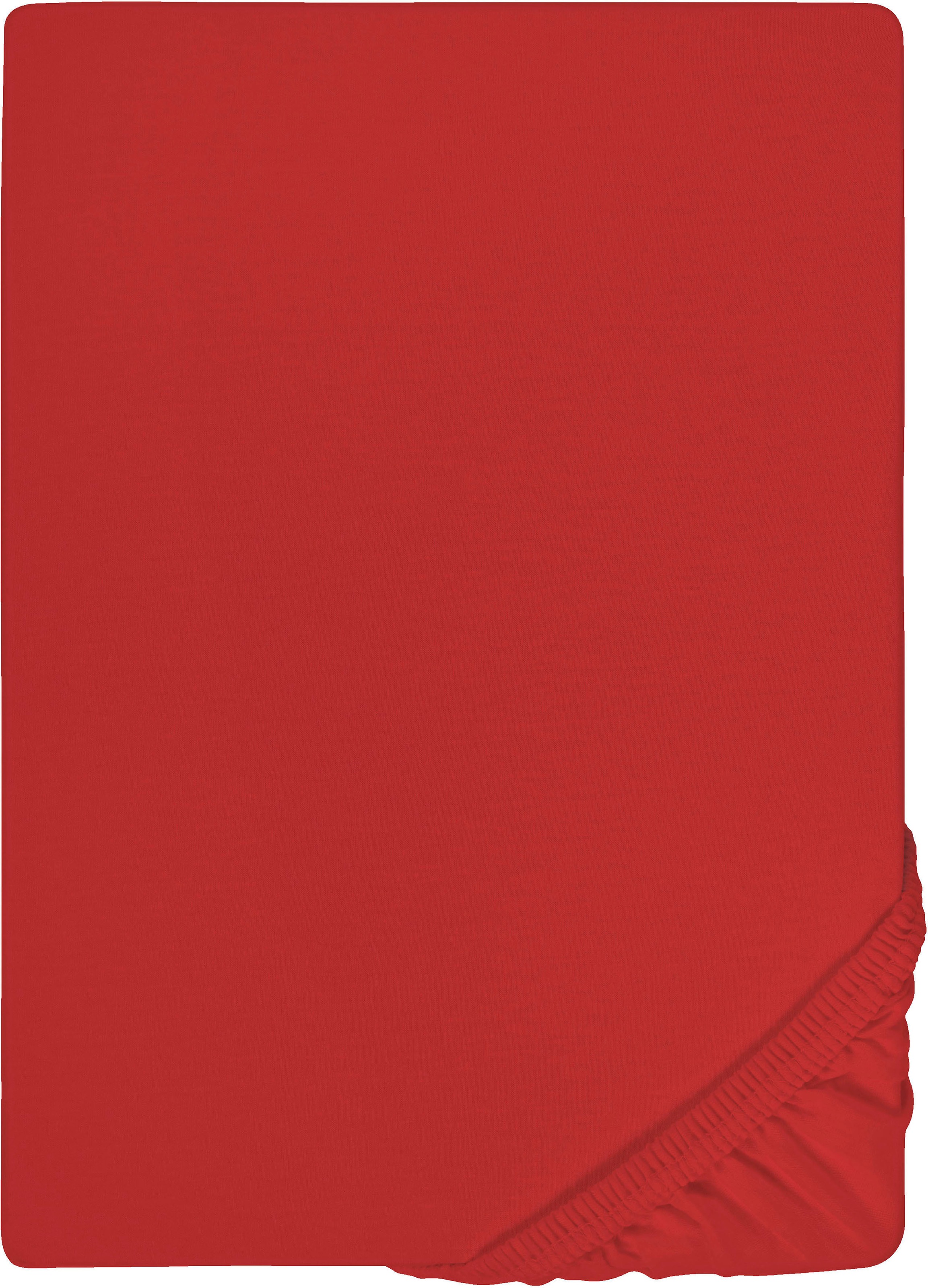 Biberna Spannbettlaken "0077866 Deluxe Jersey-Elastic Spannbetttuch 97% Baumwolle" Jersey mit Elasthan, Rundumgummi, bügelfrei, ab Größe 90 x 190 cm i