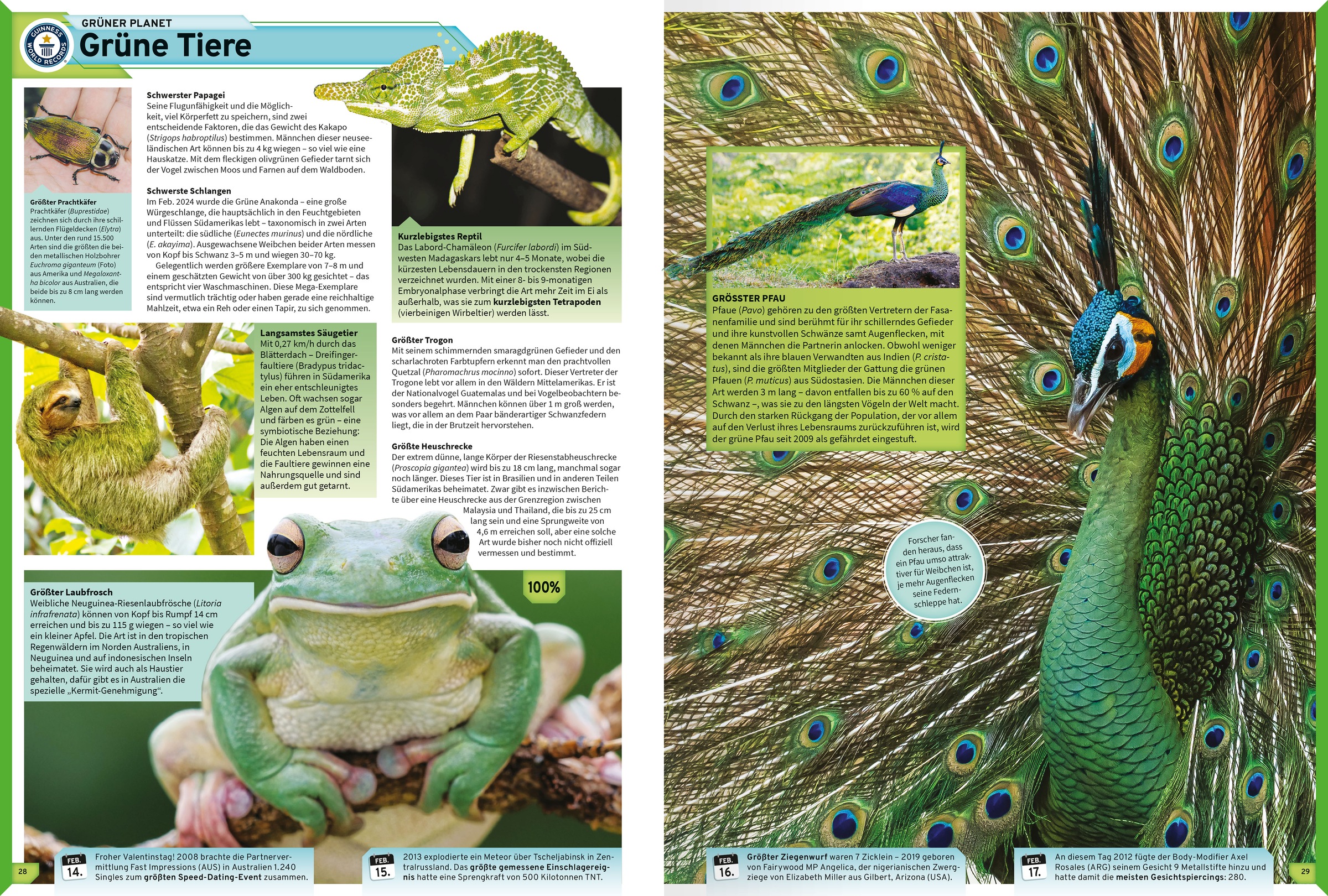 Ravensburger Sachbuch »Guinness World Records - 2027«