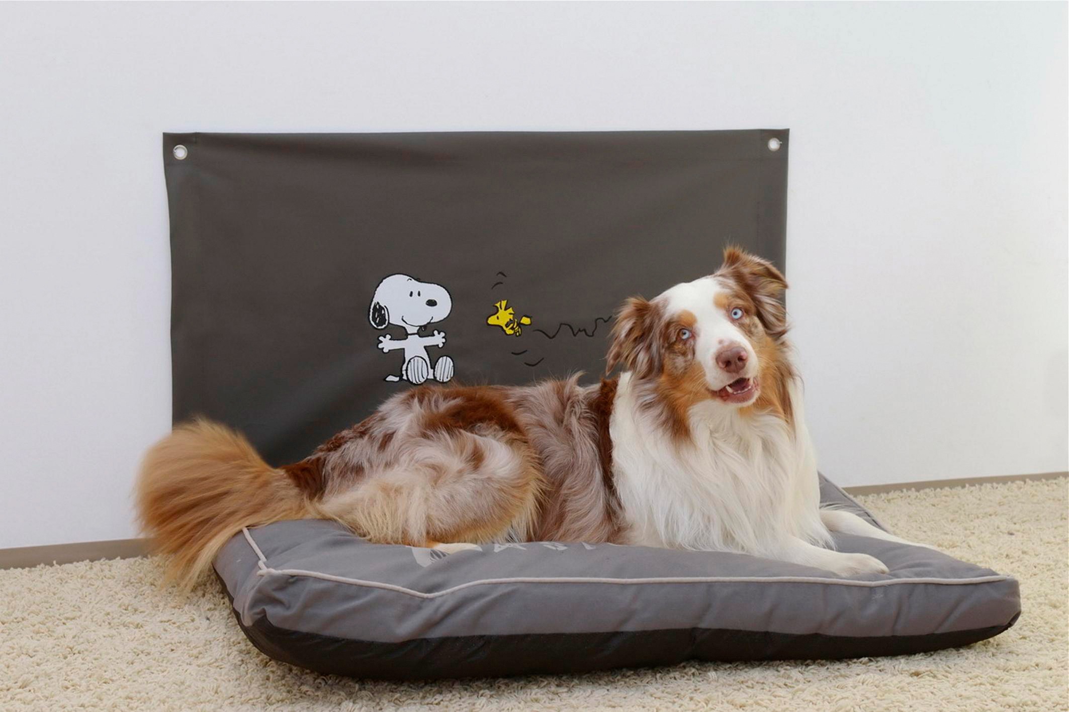 SILVIO design Hunde-Wandschutz »Pfotenschutz Snoopy«, BxL: 100x60 cm