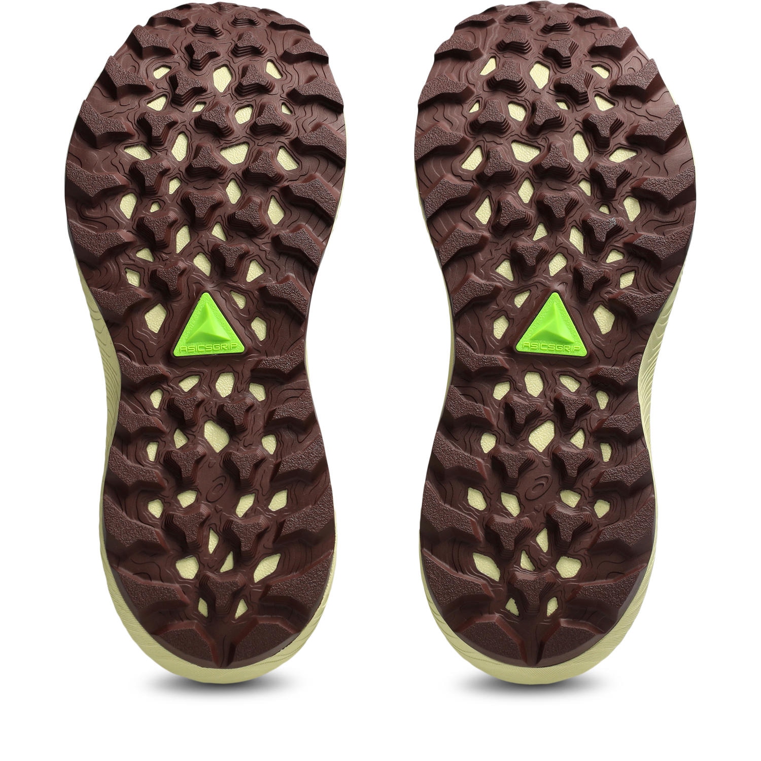 Asics Trailrunningschuh »TRABUCO TERRA 3«