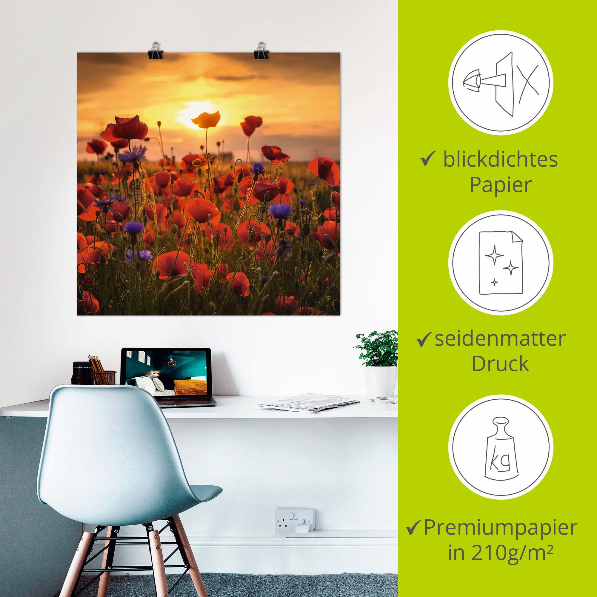 Artland Wandbild »Mohnblumen im Abendlicht«, Blumen, (1 St.), als Alubild, Outdoorbild, Leinwandbild, Poster, Wandaufkleber