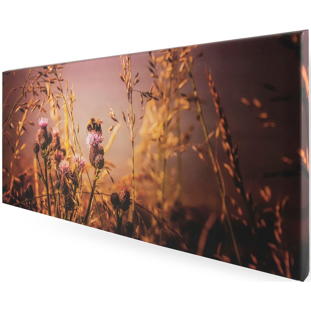 Art for the home Leinwandbild »Blumen«, (1 St.)