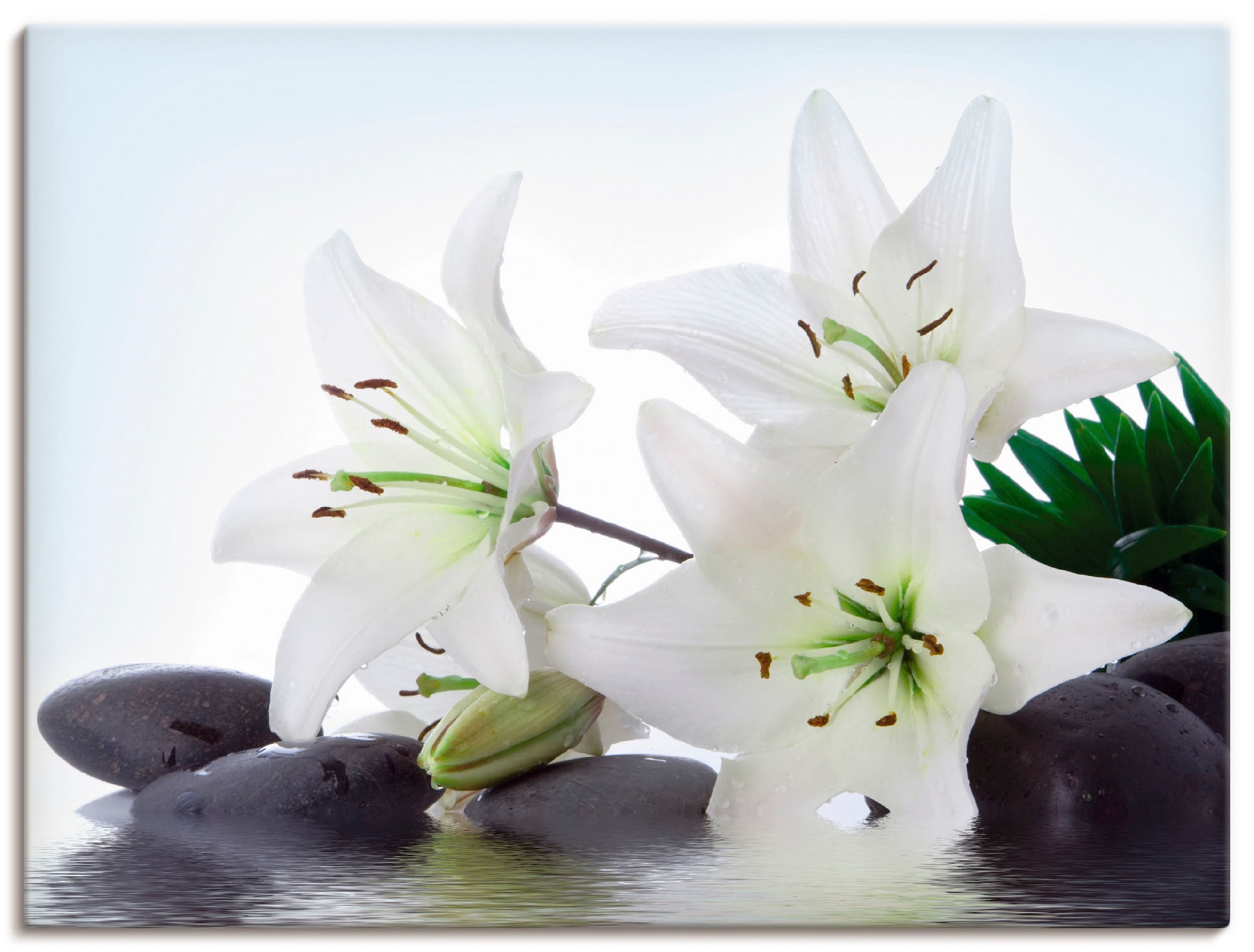 Artland "Madonna-Lilien und Spasteine" Zen 1 Stk. tlg. auf Holzrahmen gespa günstig online kaufen