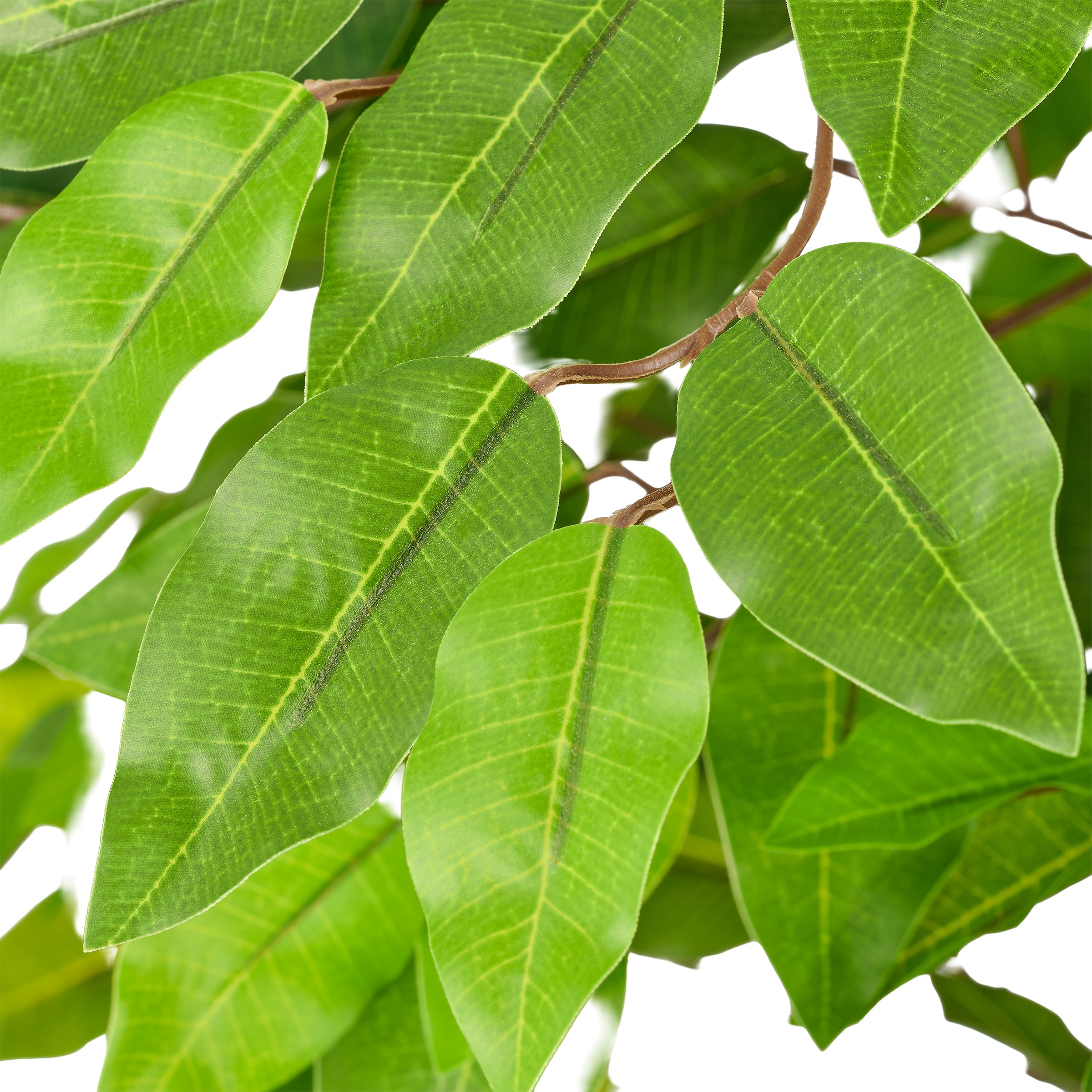 Creativ green Kunstbaum »Ficus benjamina« mit schönem Blattwerk