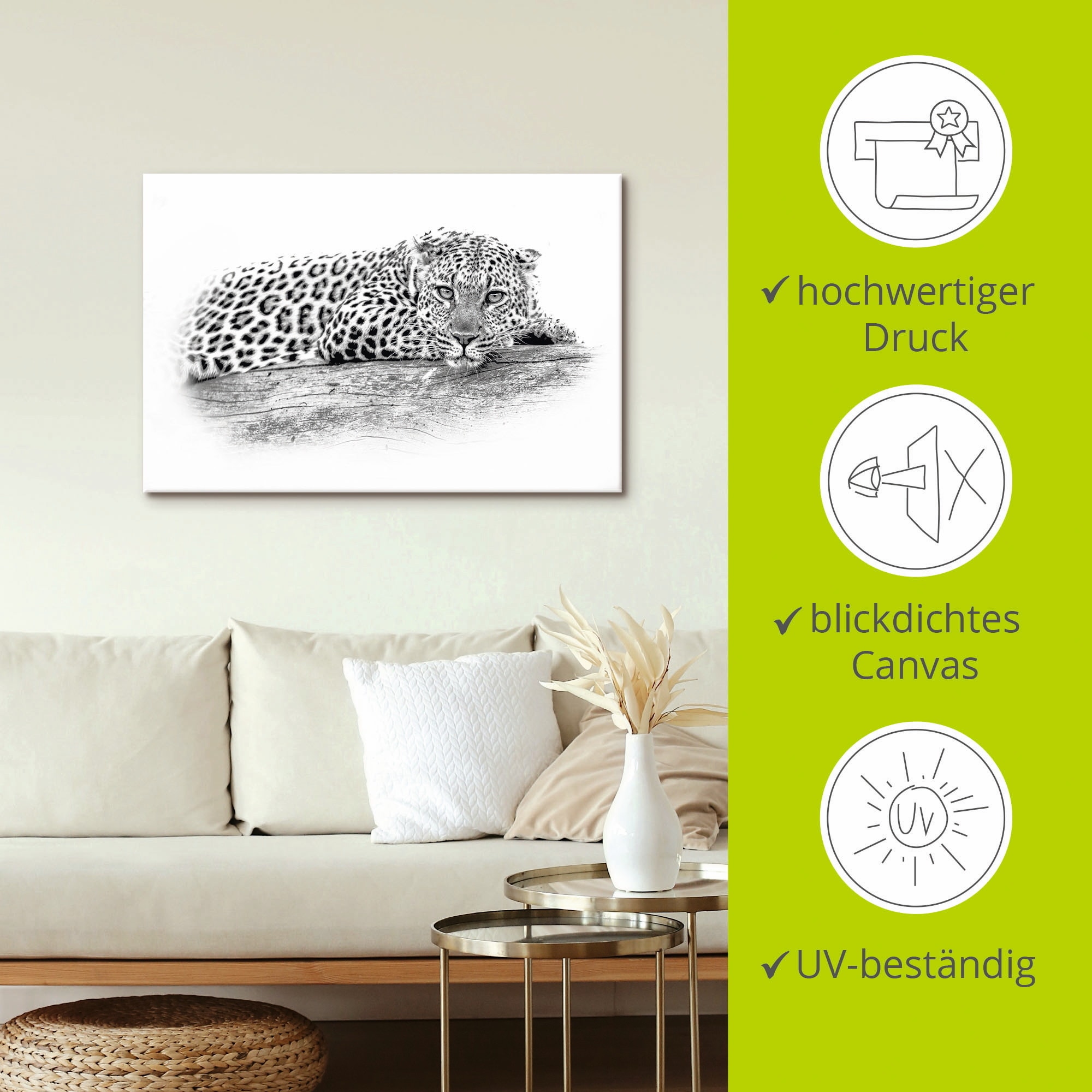 Artland Wandbild »Leopard High Key Optik«, Wildtiere, (1 St.), als Alubild, Leinwandbild, Wandaufkleber oder Poster in versch. Größen