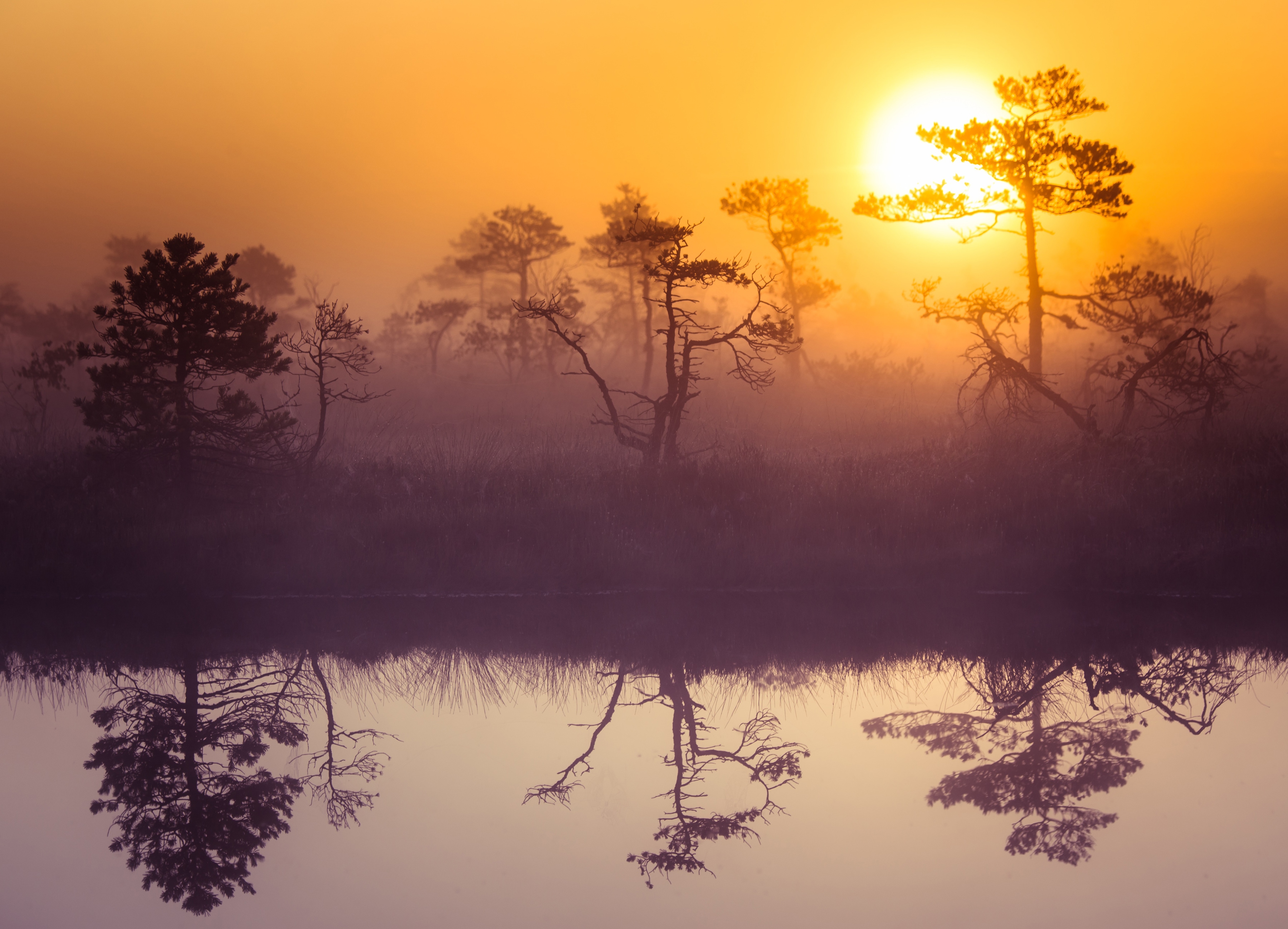 Papermoon Fototapete "Misty Morning Scenery" glatt