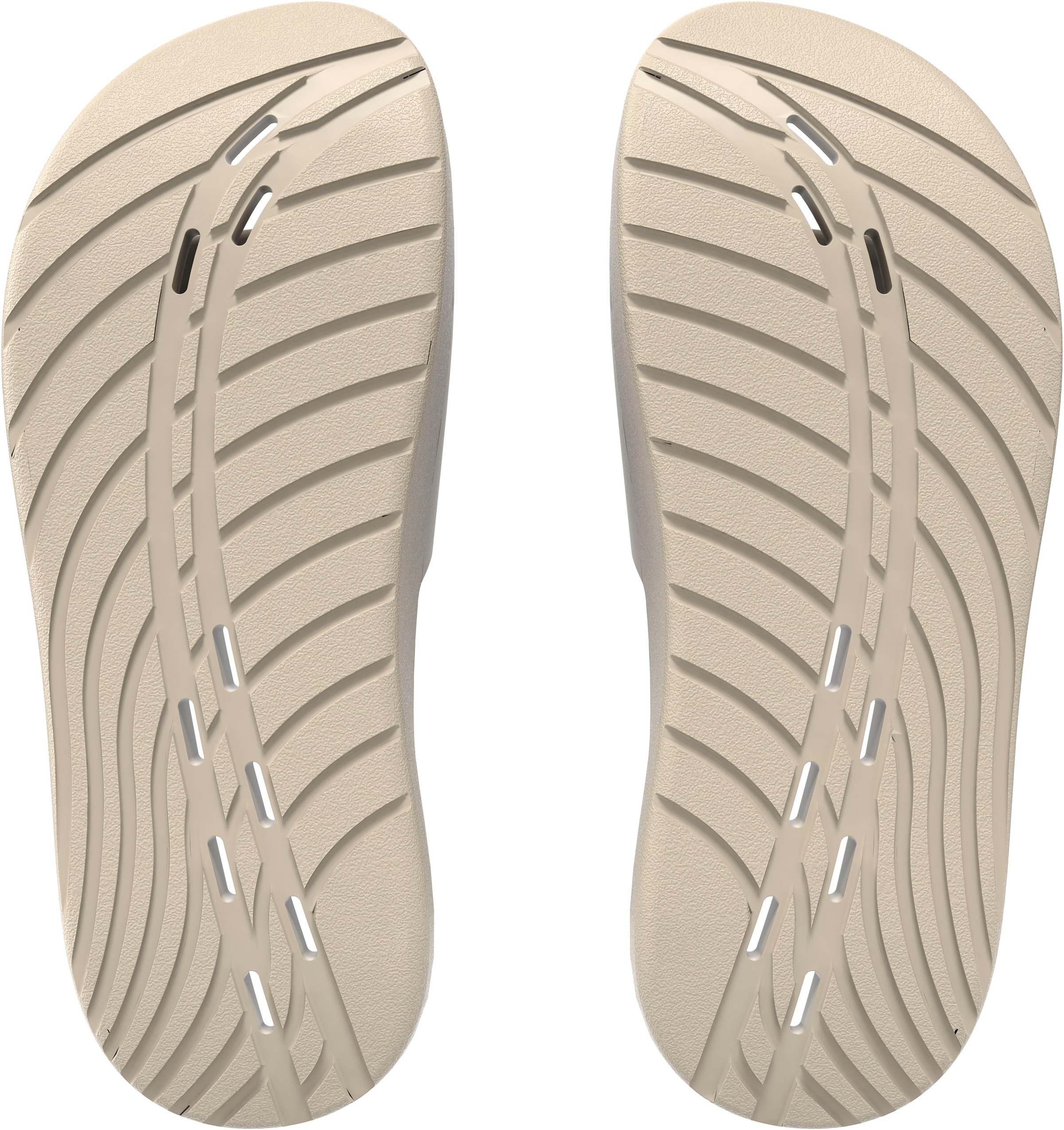 Speedo Badesandale "Speedo Slide AF" günstig online kaufen